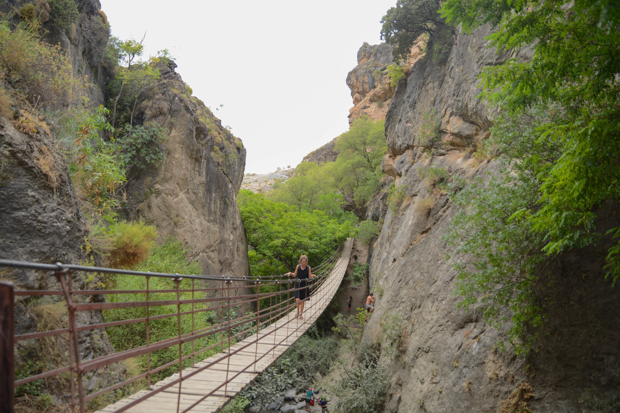 1-2570.jpg