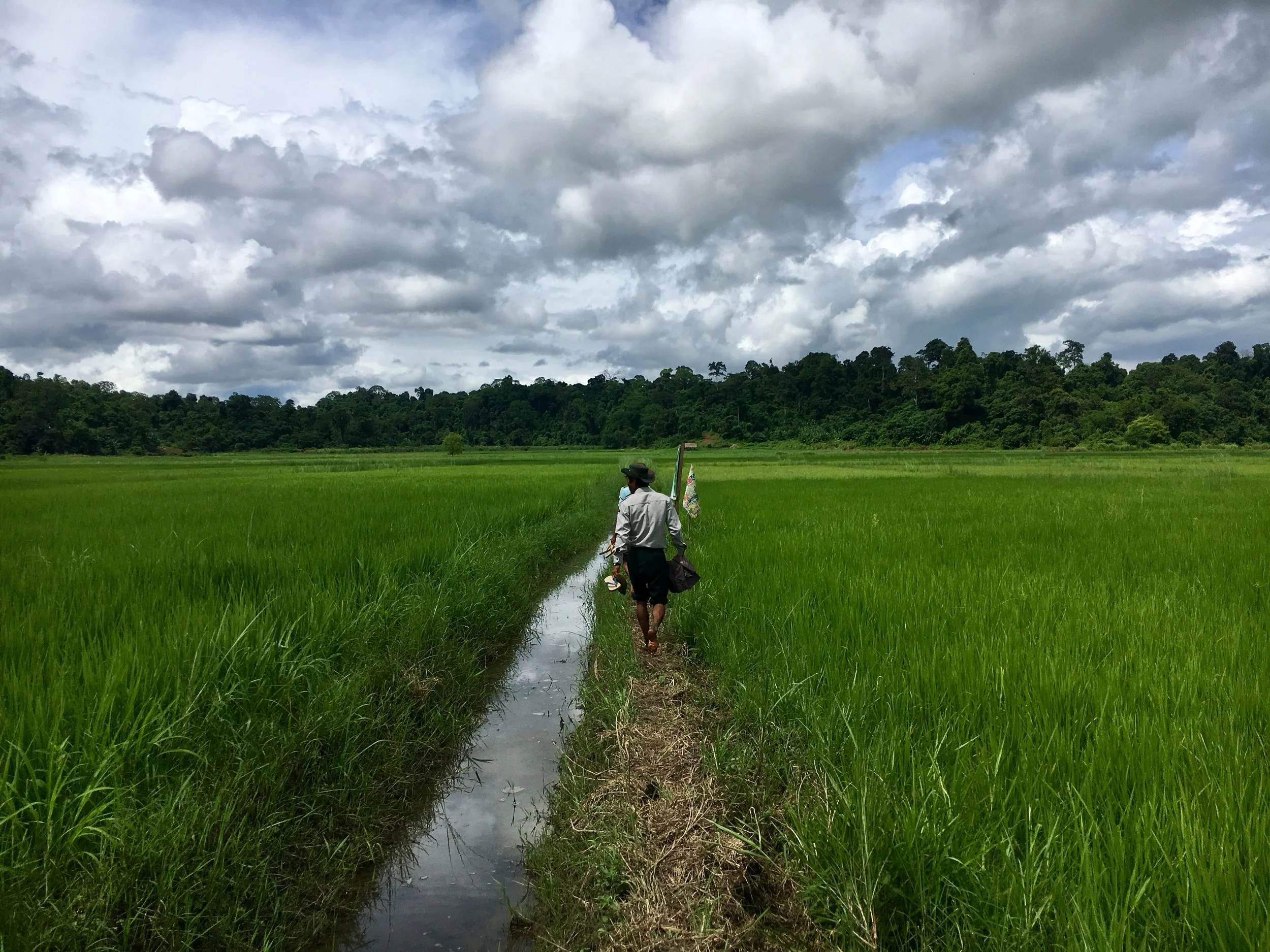 Bringing Communities Together through Conservation