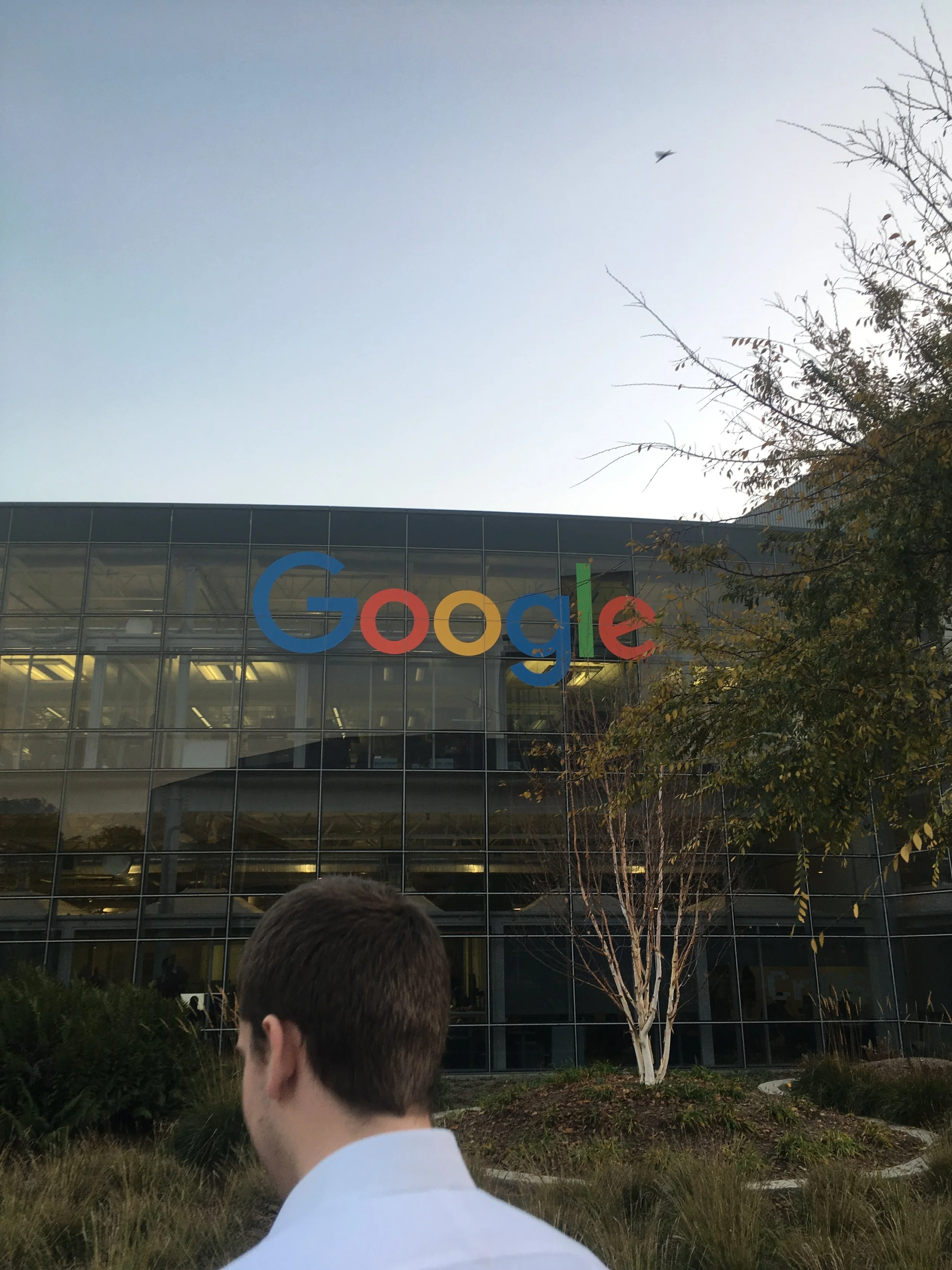 Google