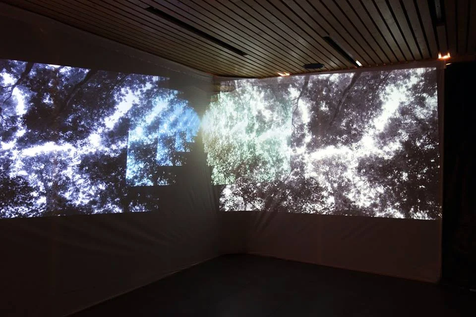 Larsen visuel
