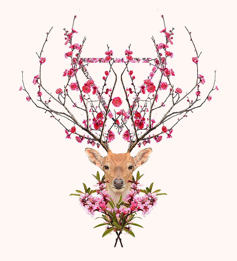 spring_deer.jpg