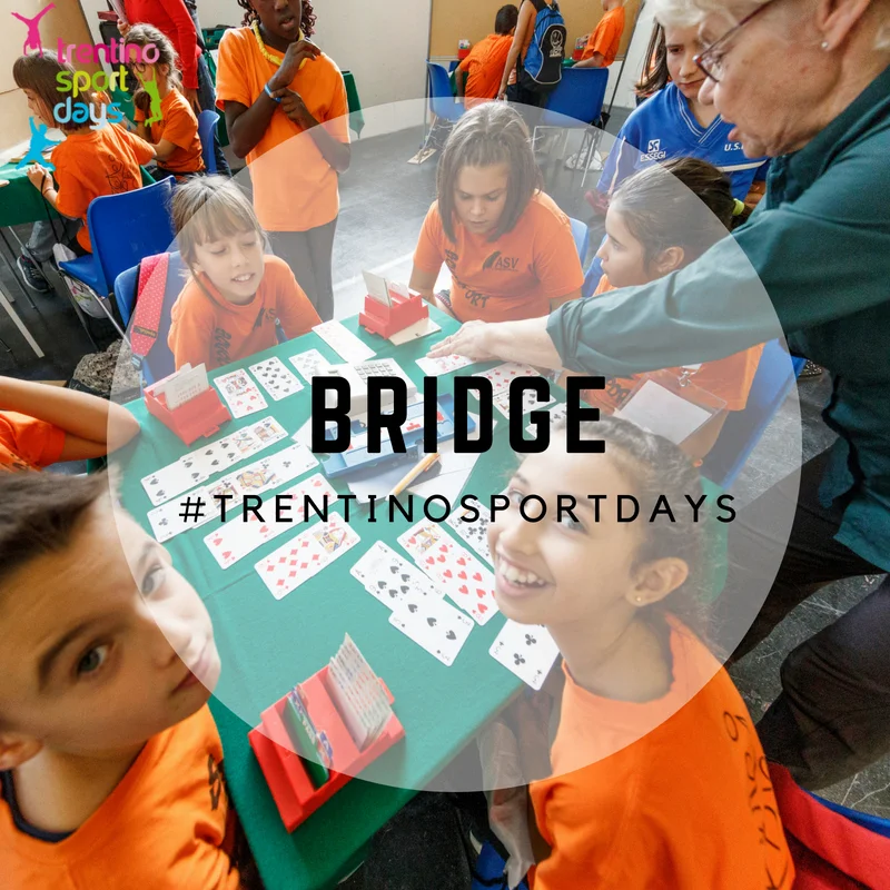 BRIDGE.jpg