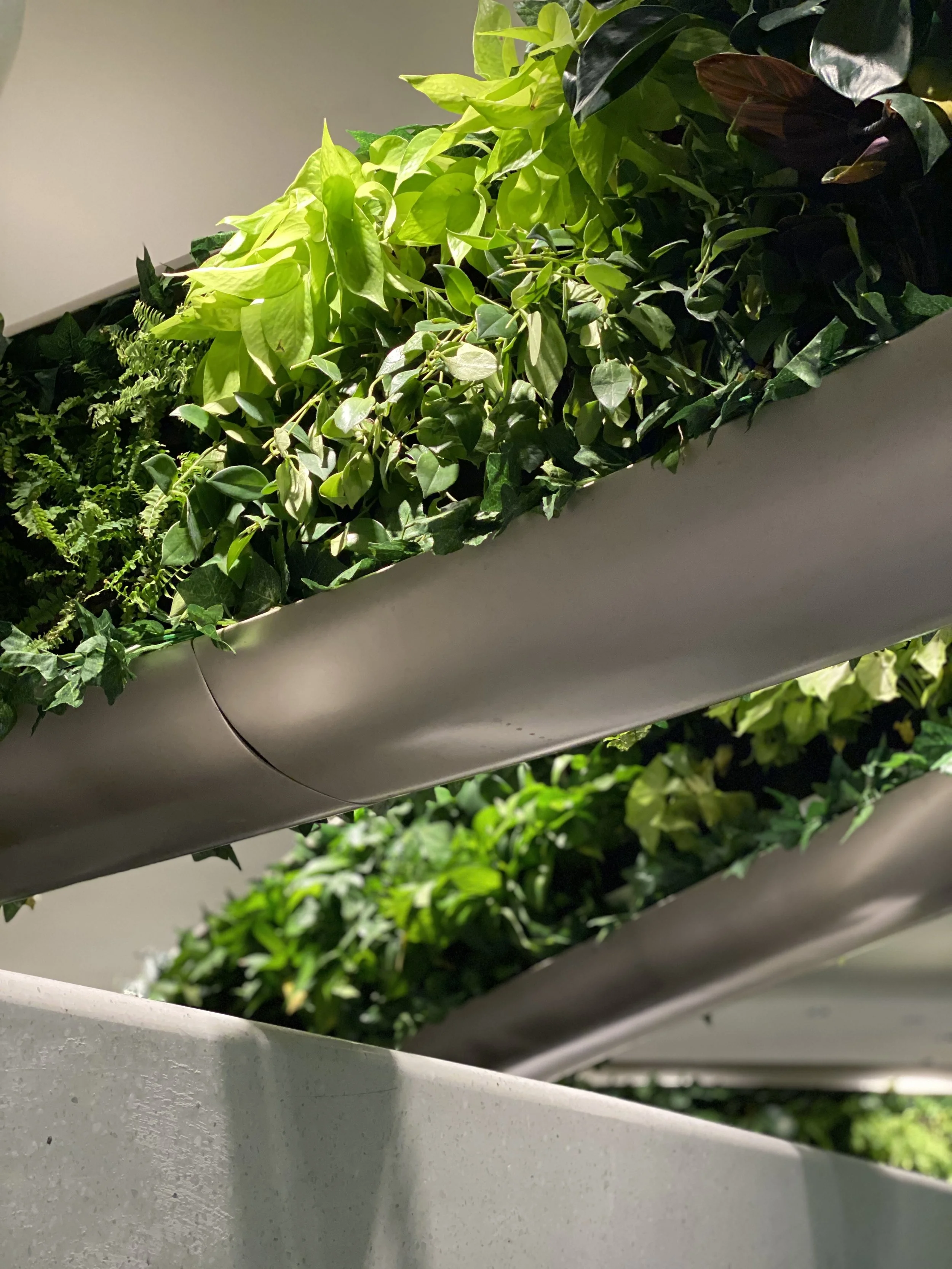 IMG_E2686 - Copy.JPG