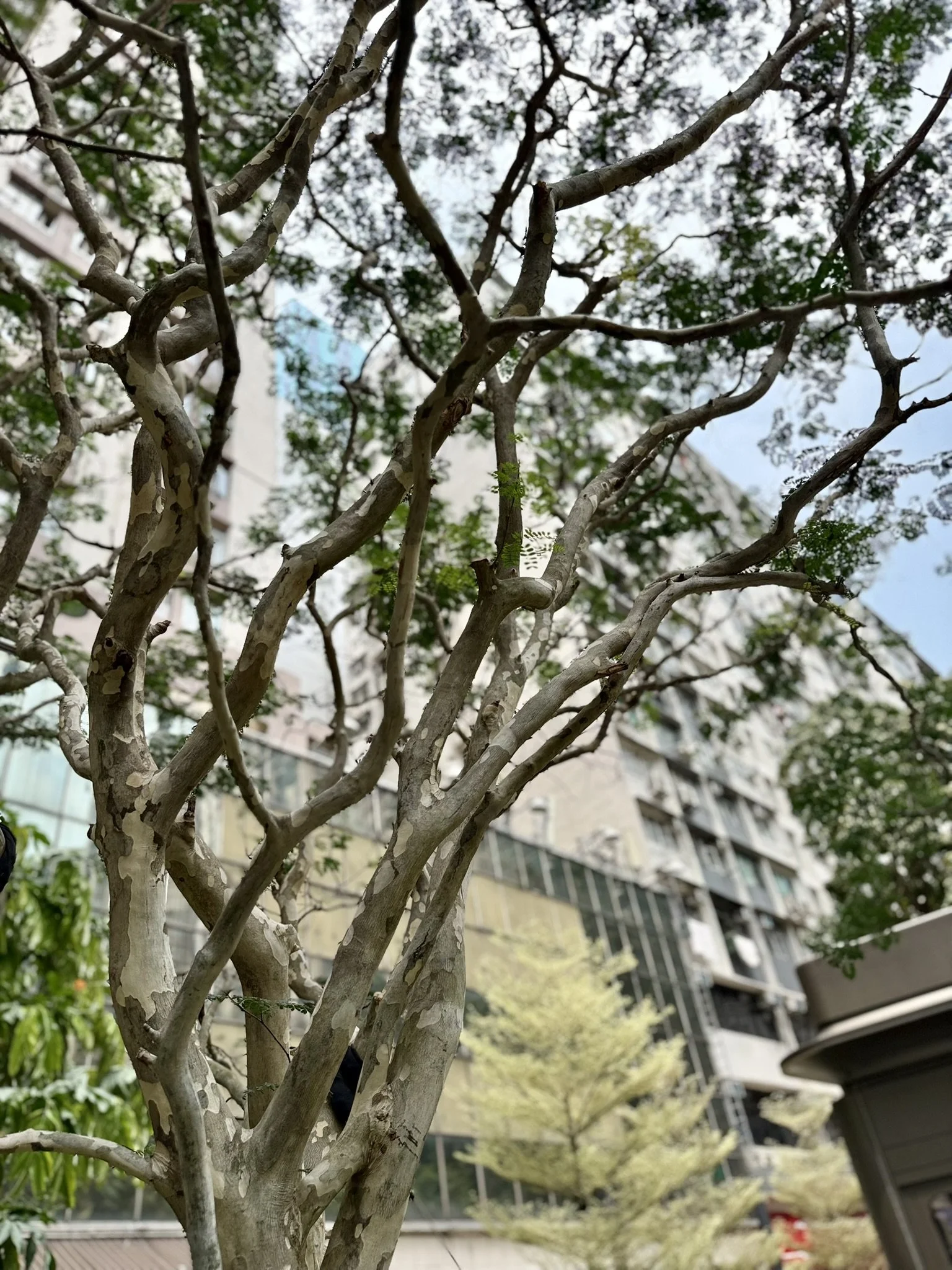 IMG_5056.JPEG