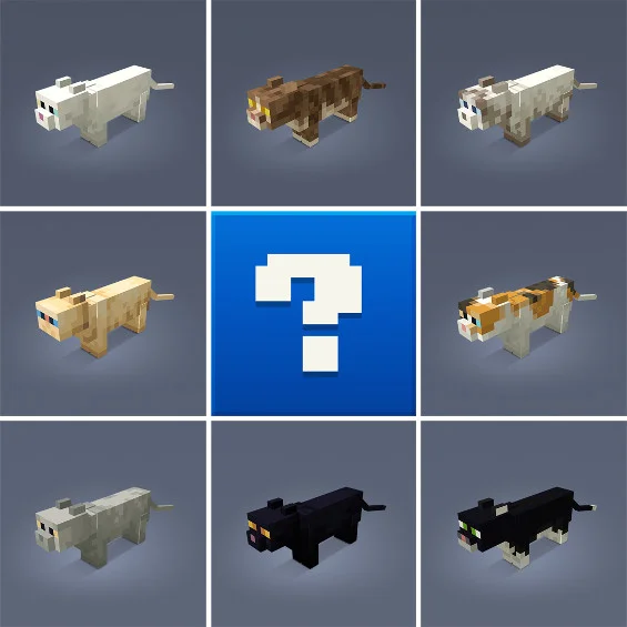 Minecraft Cat Competition!