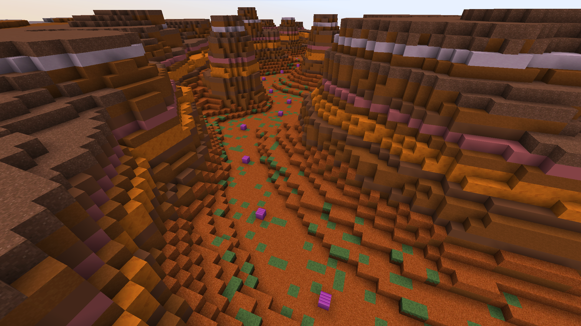 Here comes the colour!