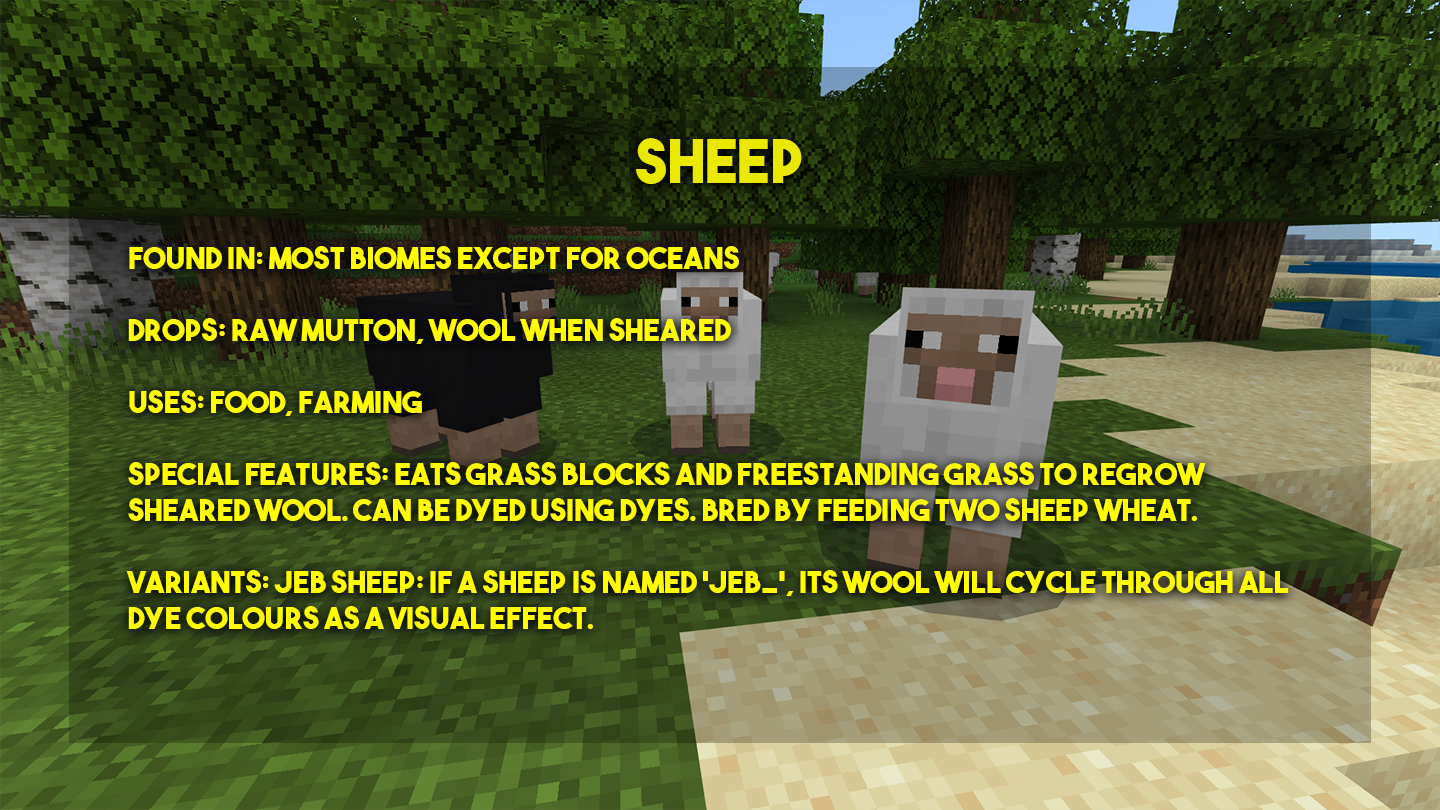 PP-Sheep.png