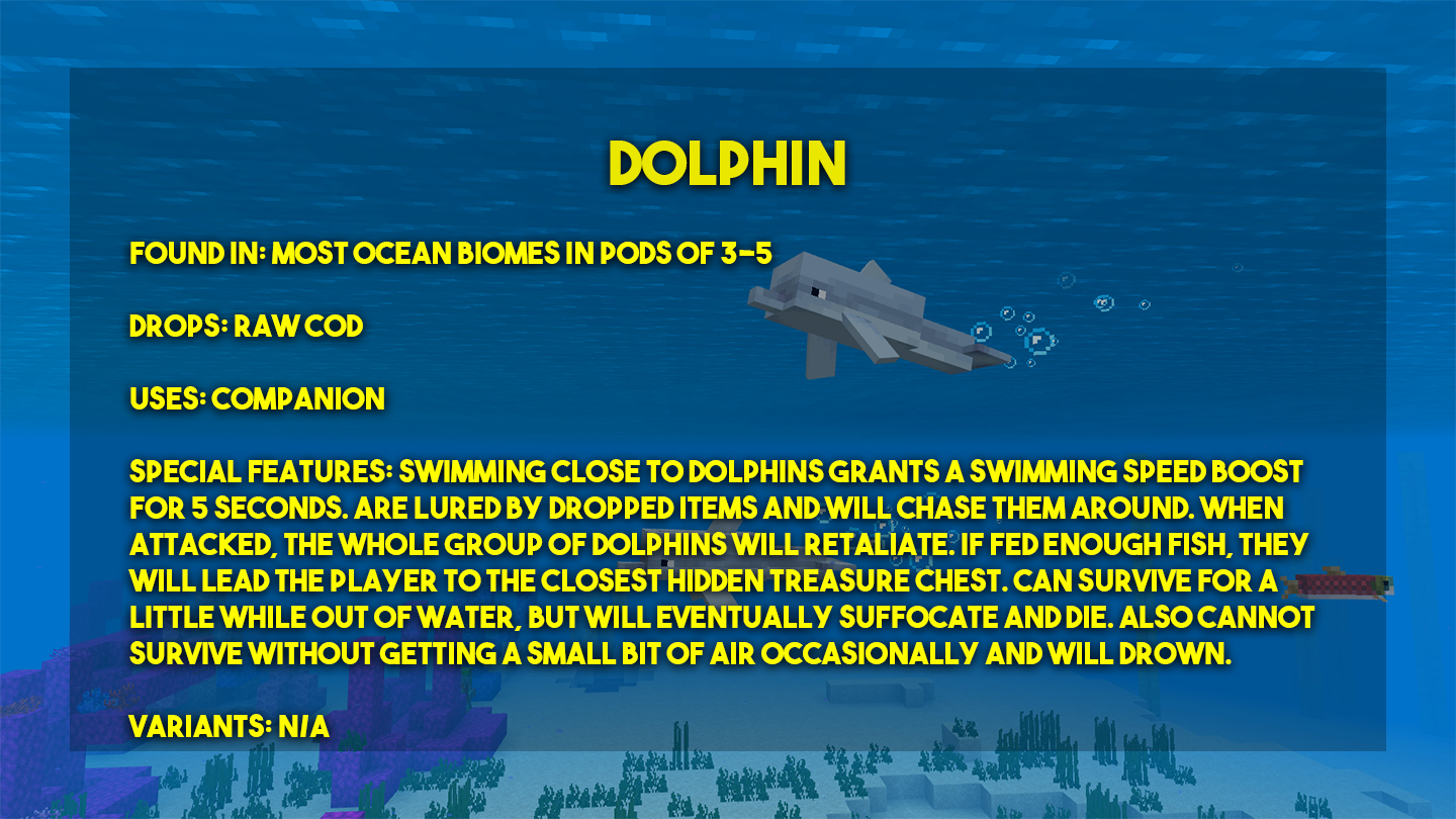 PP-Dolphin.png