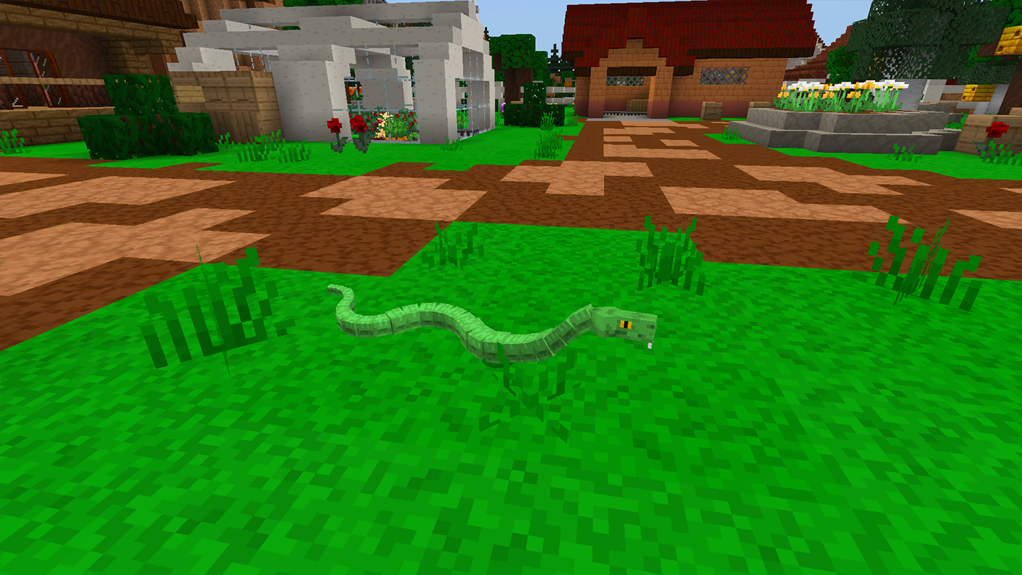Pets-Snake-2.png