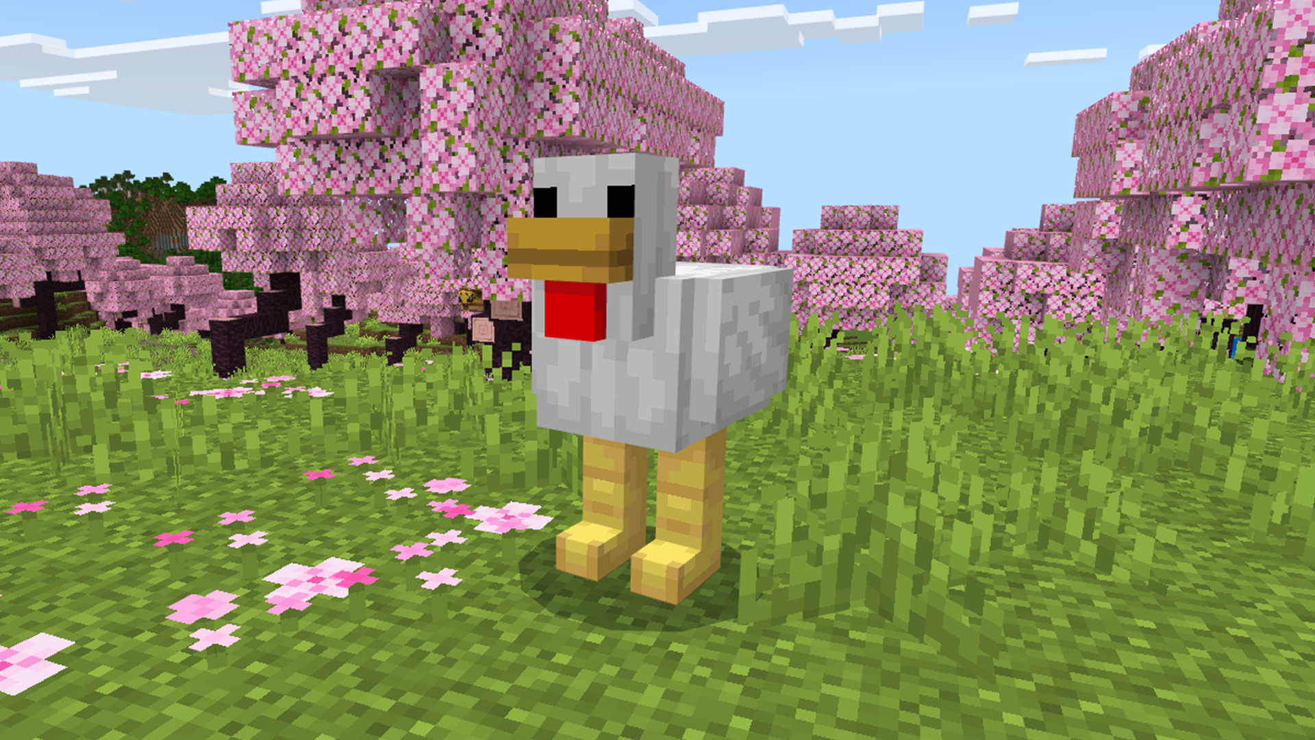 Chicken-Runner.png