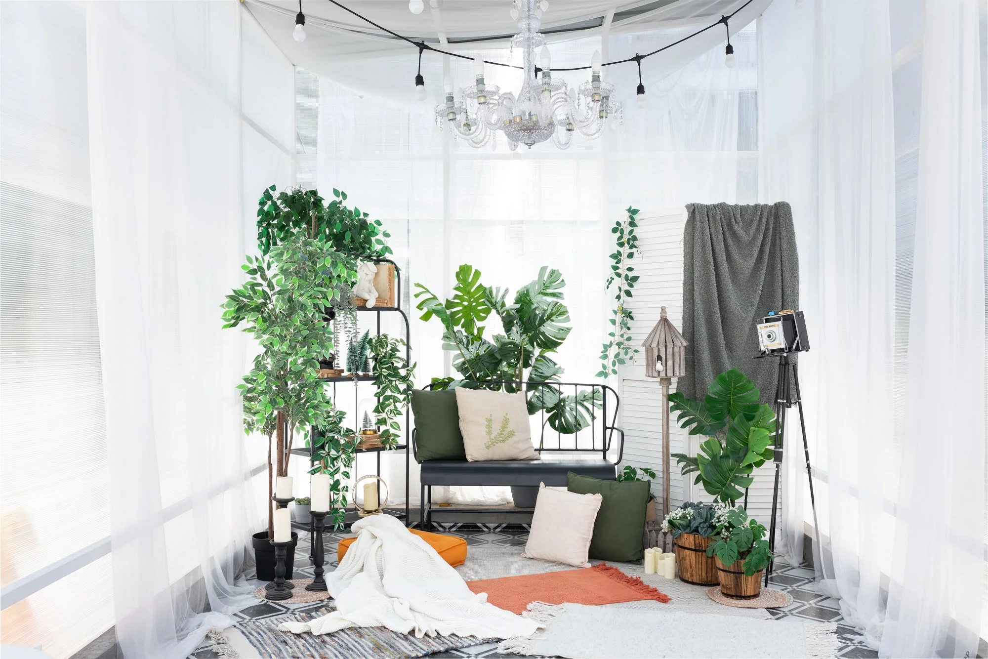 Rooftop glasshouse conservatory at Studio Flinto Bangalore with a greenhouse-inspired setting for natural-light shoots.