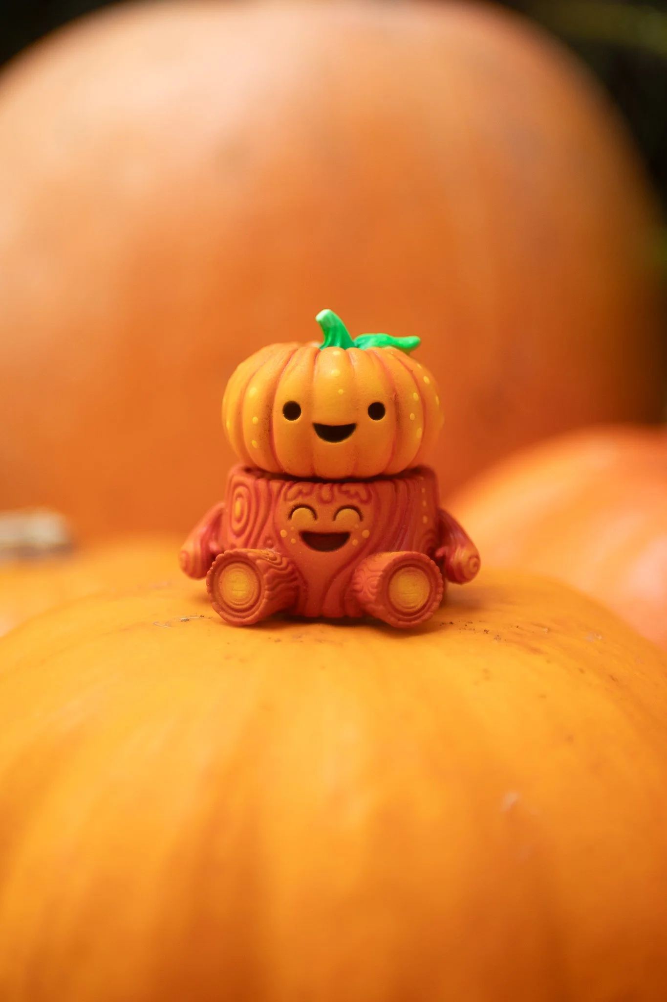 orangebabystump-6.jpg