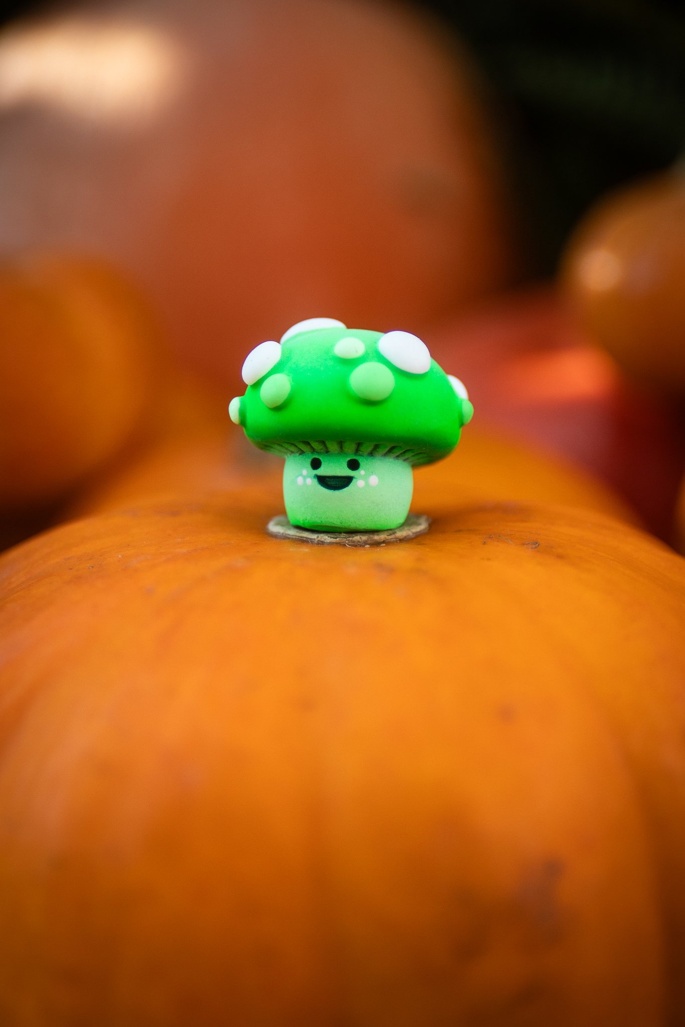 MIcroGreenShroom-3.jpg