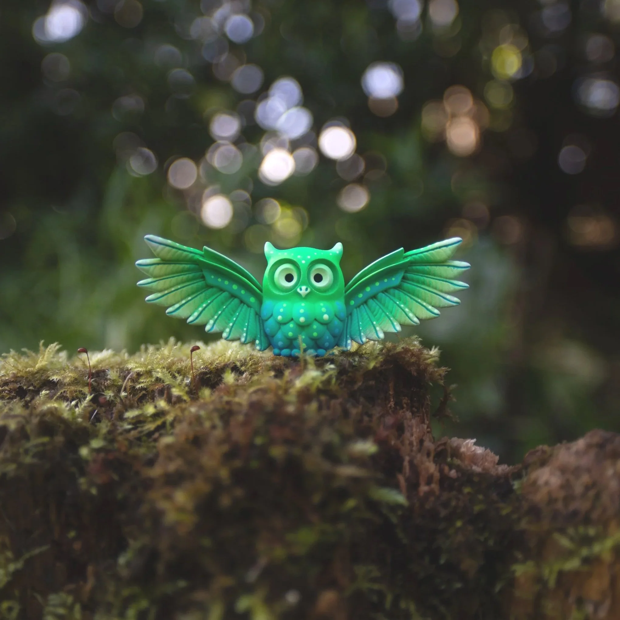 Small Green Winged  Owl