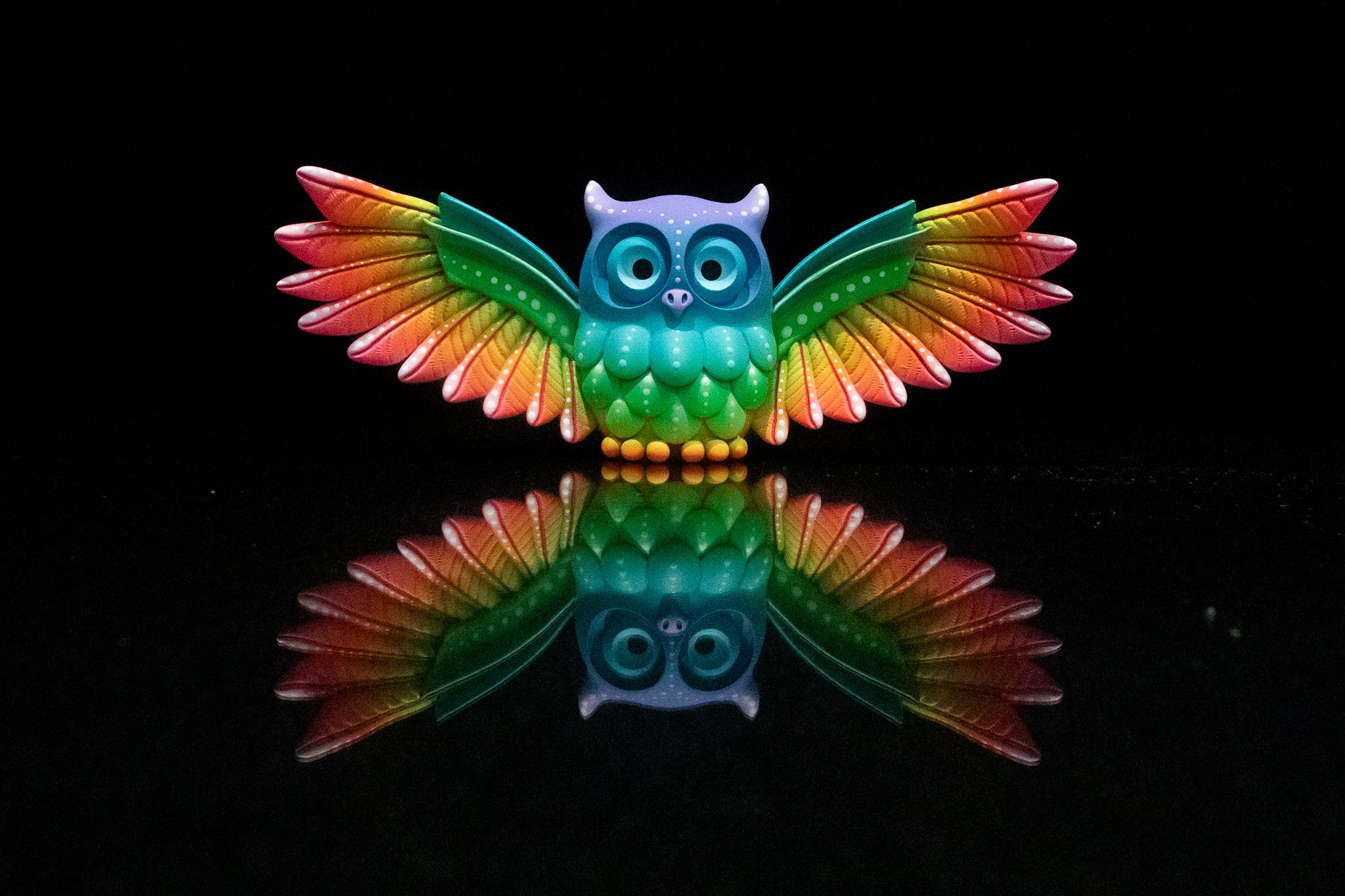 Large Rainbow Wings Owl