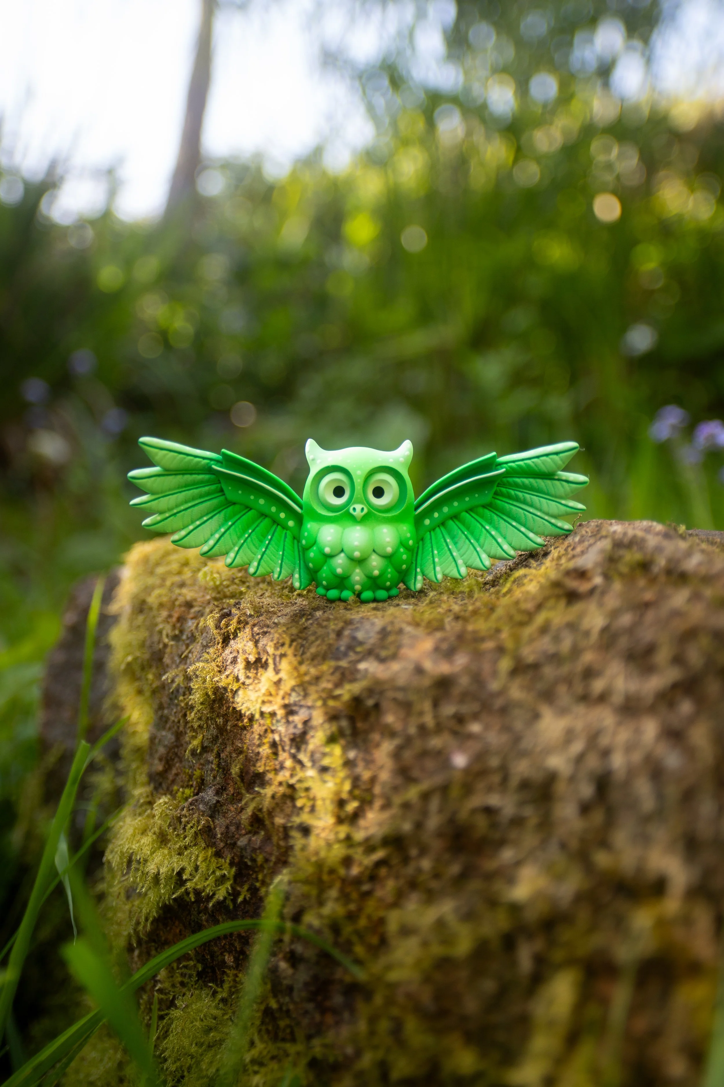 medium OWLS-12.jpg