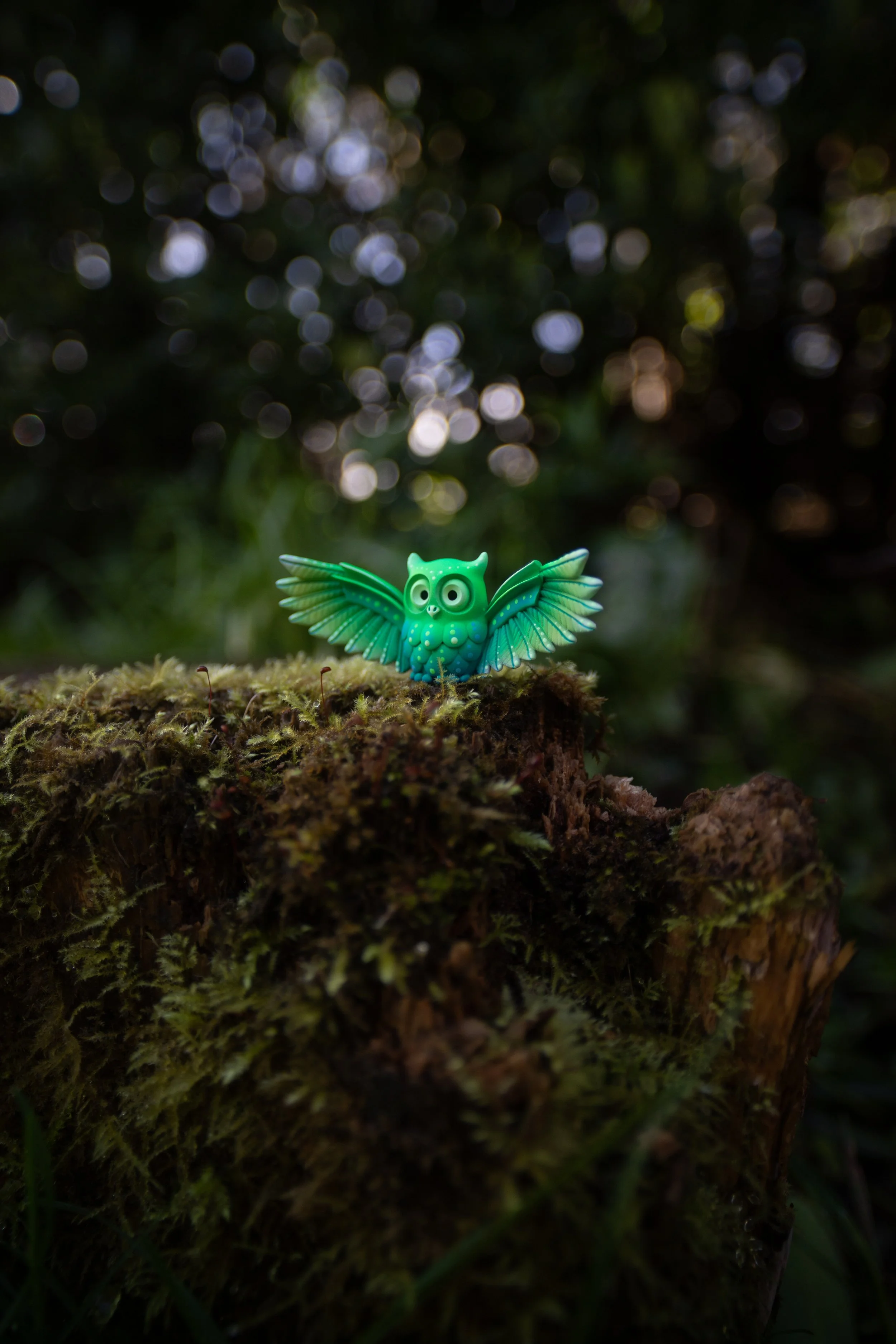 SmallGreenOWl-2.jpg