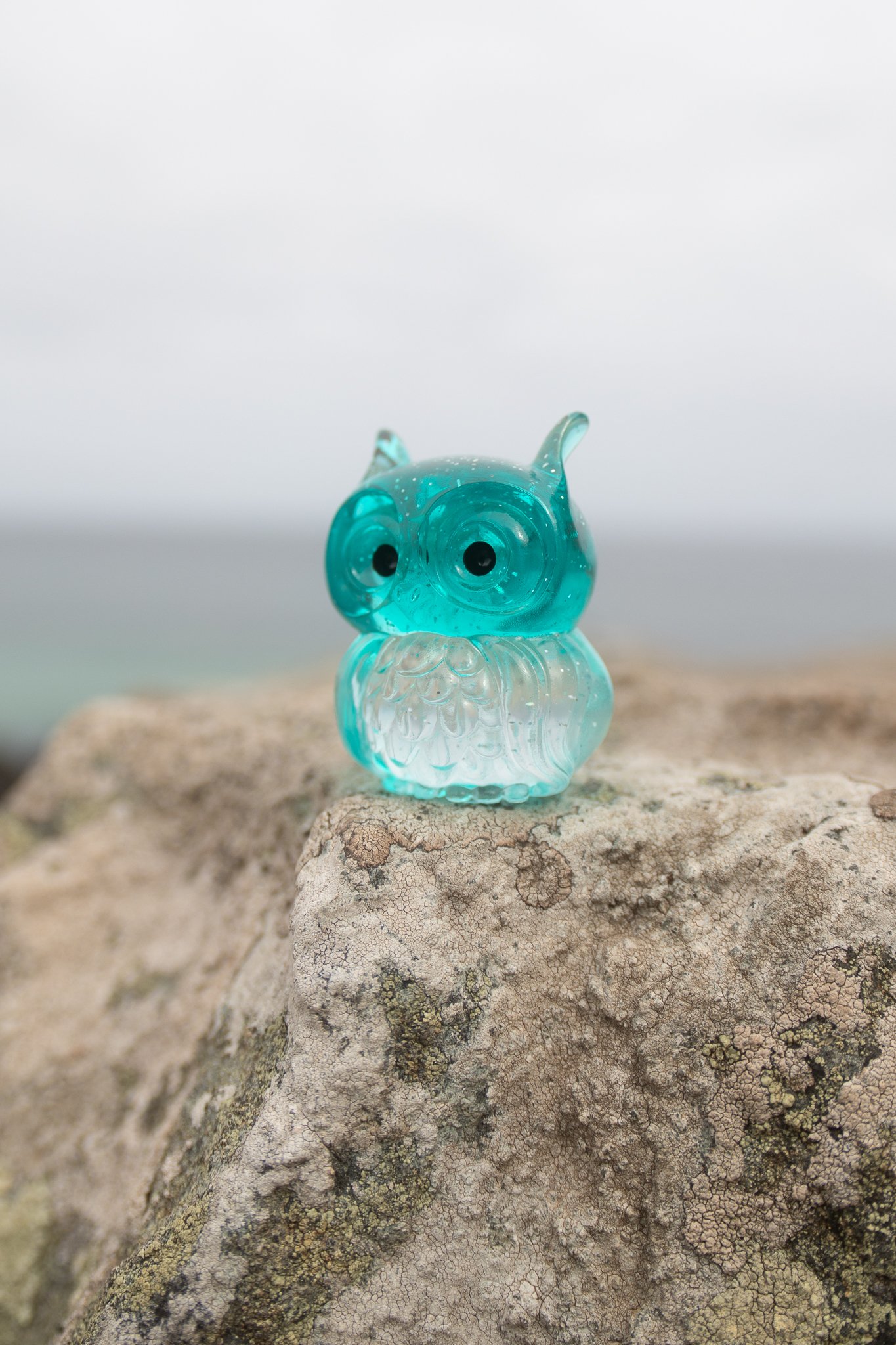 TealOwl-6.jpg