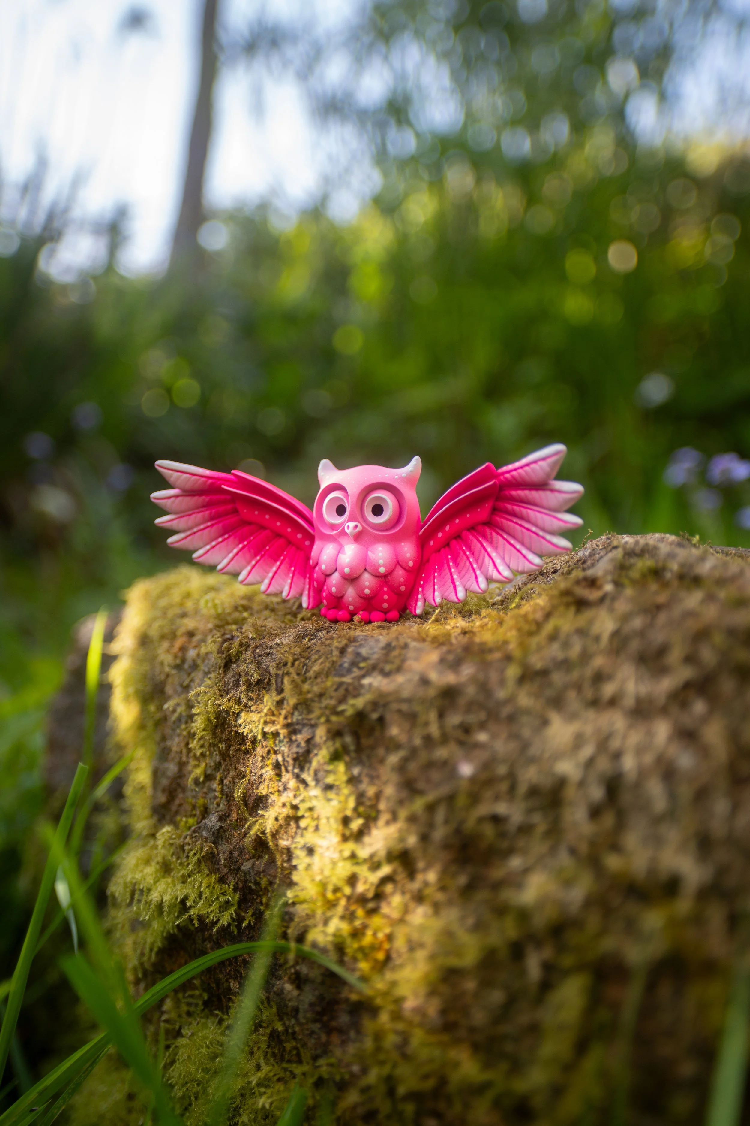 medium OWLS-5.jpg