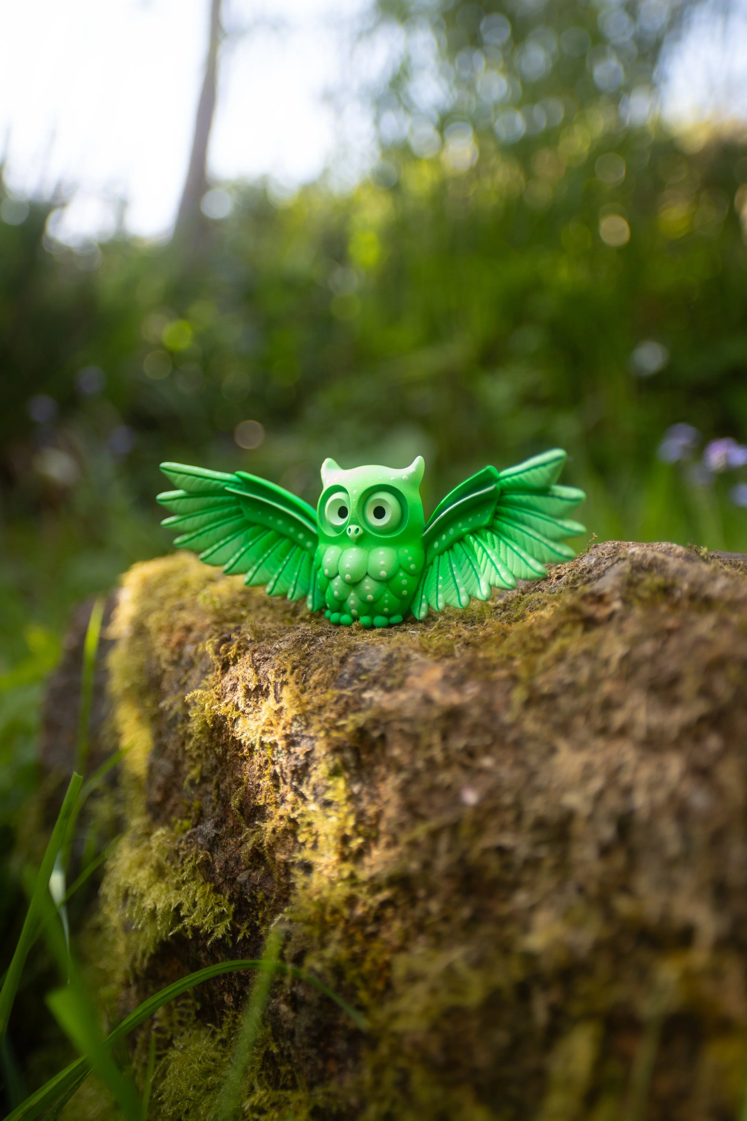 medium OWLS-11.jpg