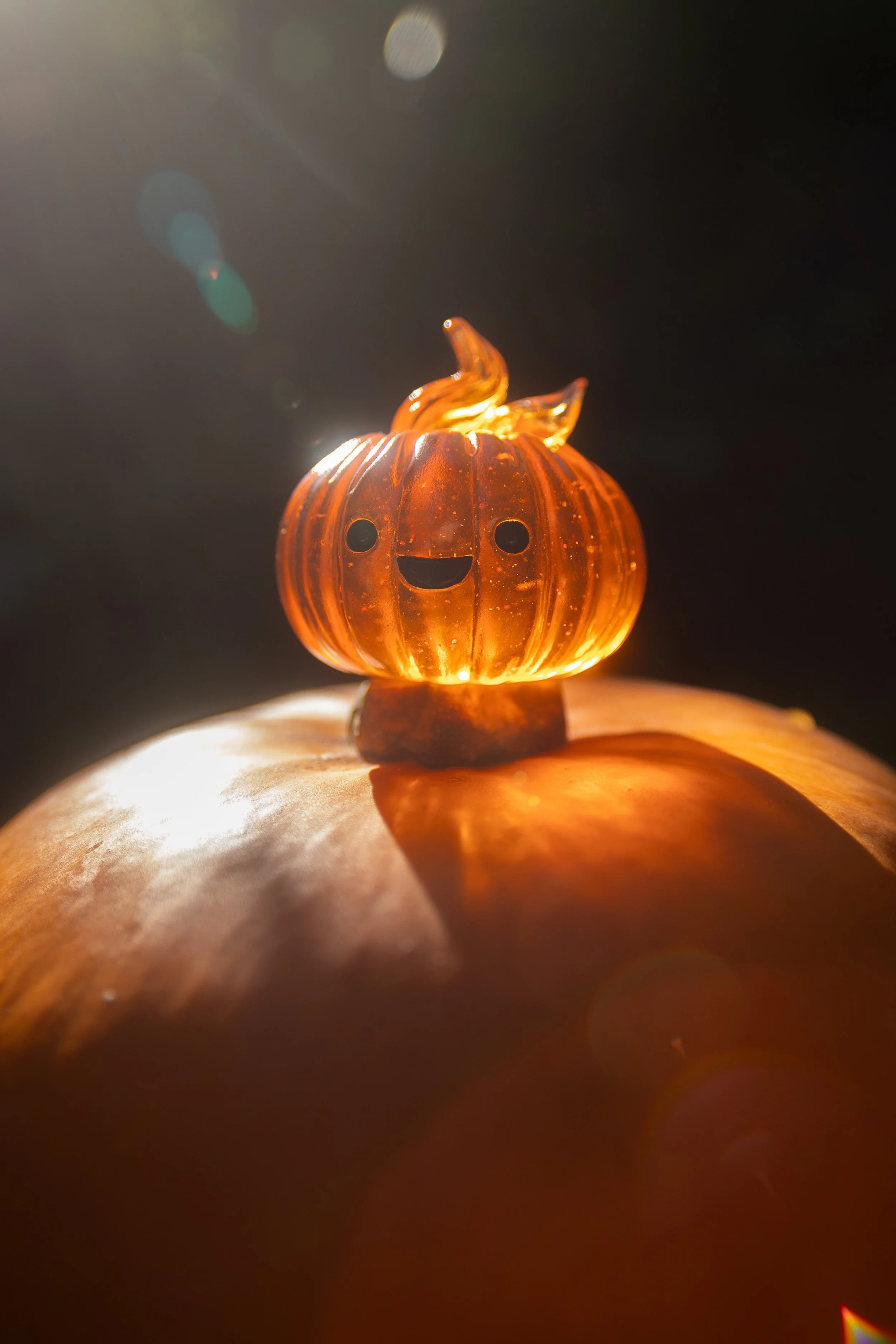 ClearPumpkins-08.jpg
