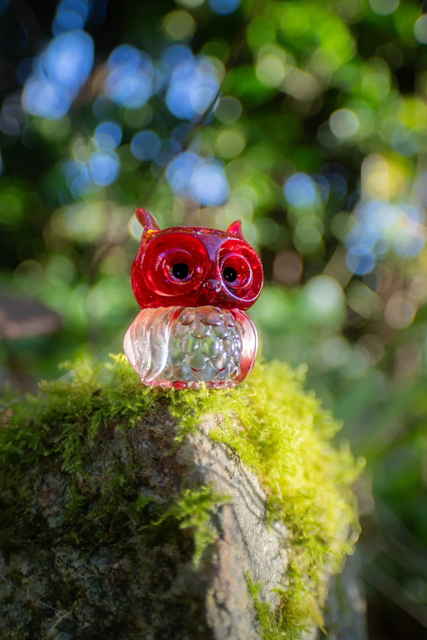 RedClearOwl-1.jpg
