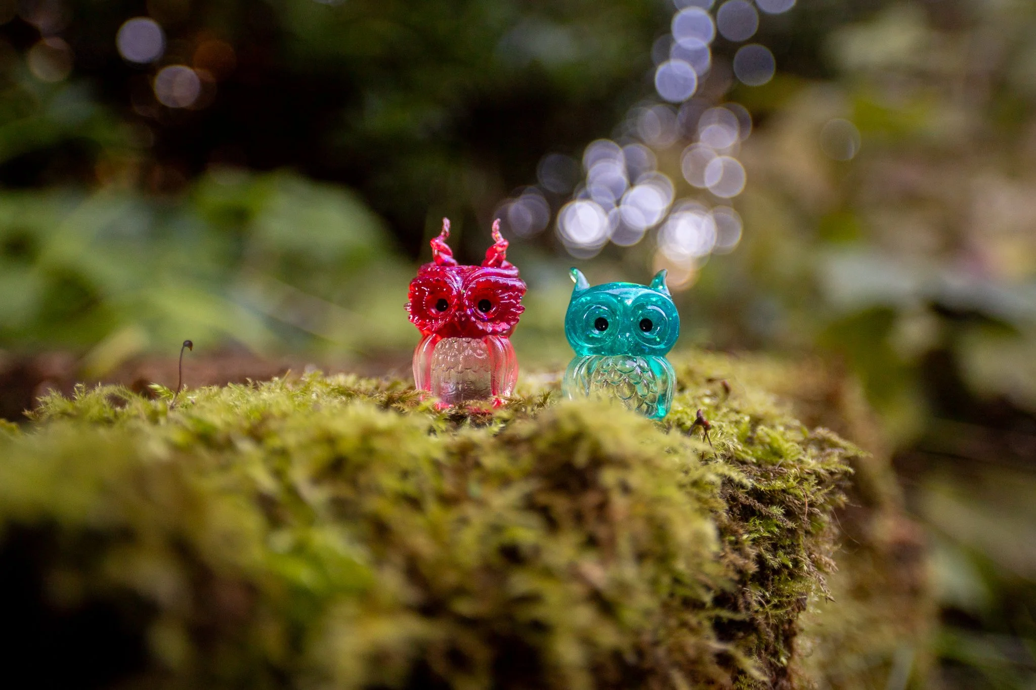 owls-1.jpg