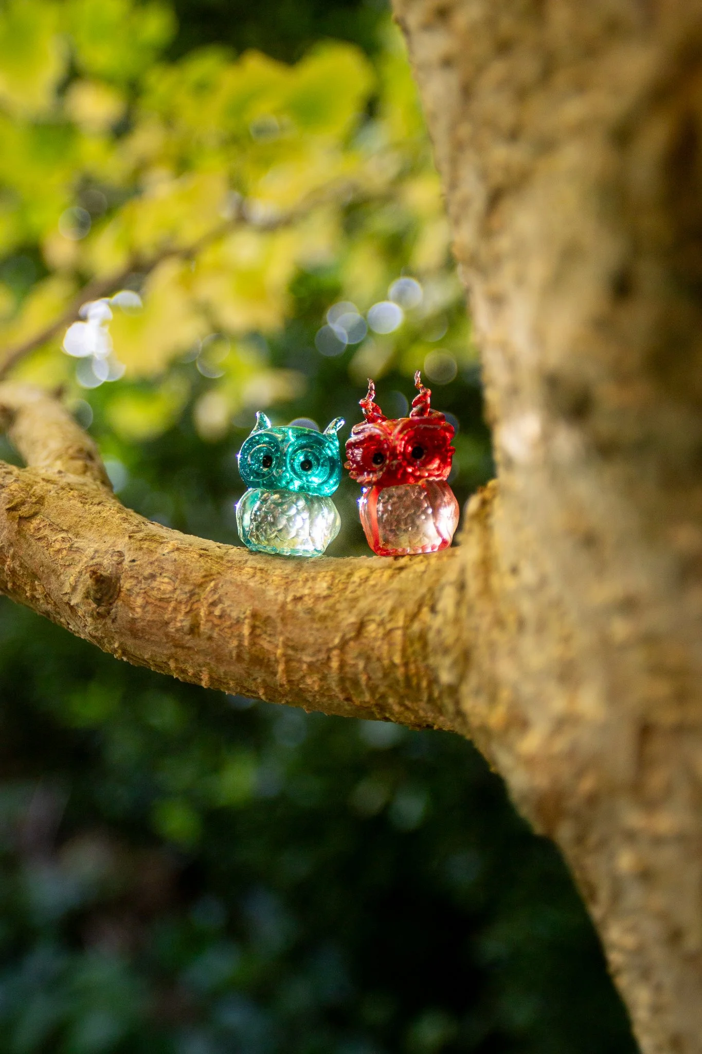 owls-5.jpg