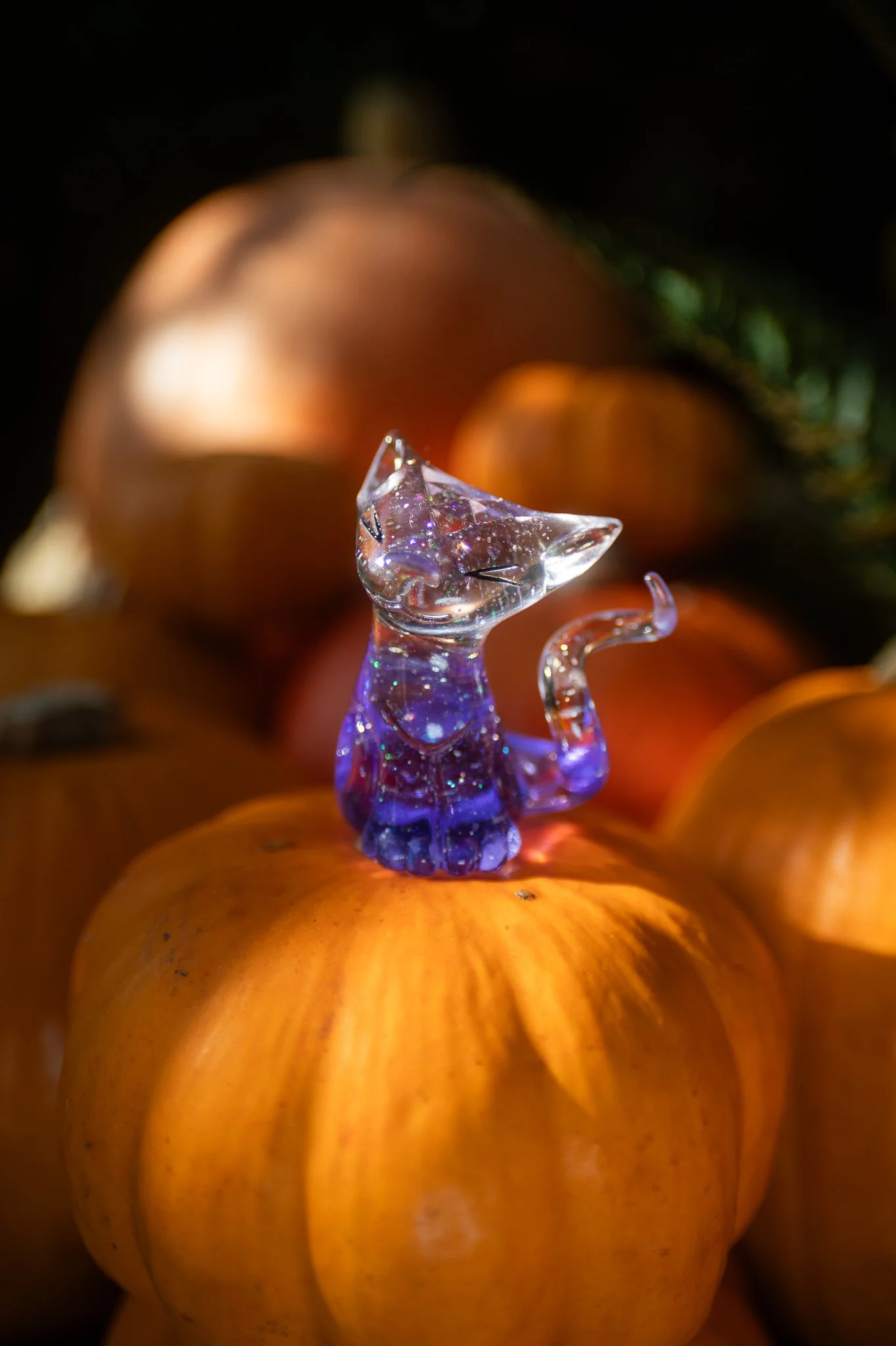 clearPurpCat-2.jpg