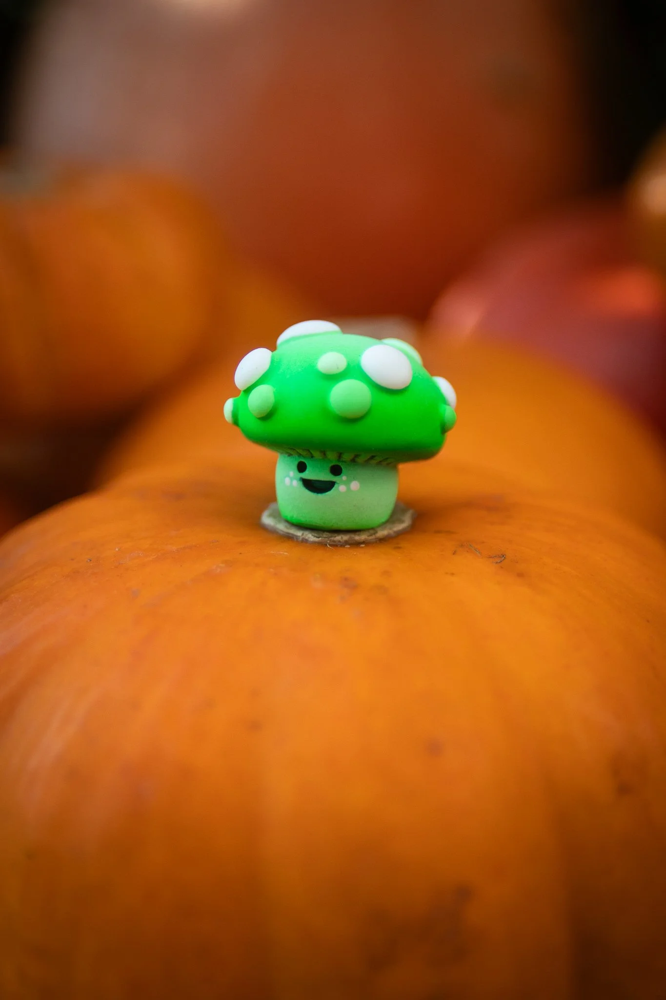 MIcroGreenShroom-2.jpg