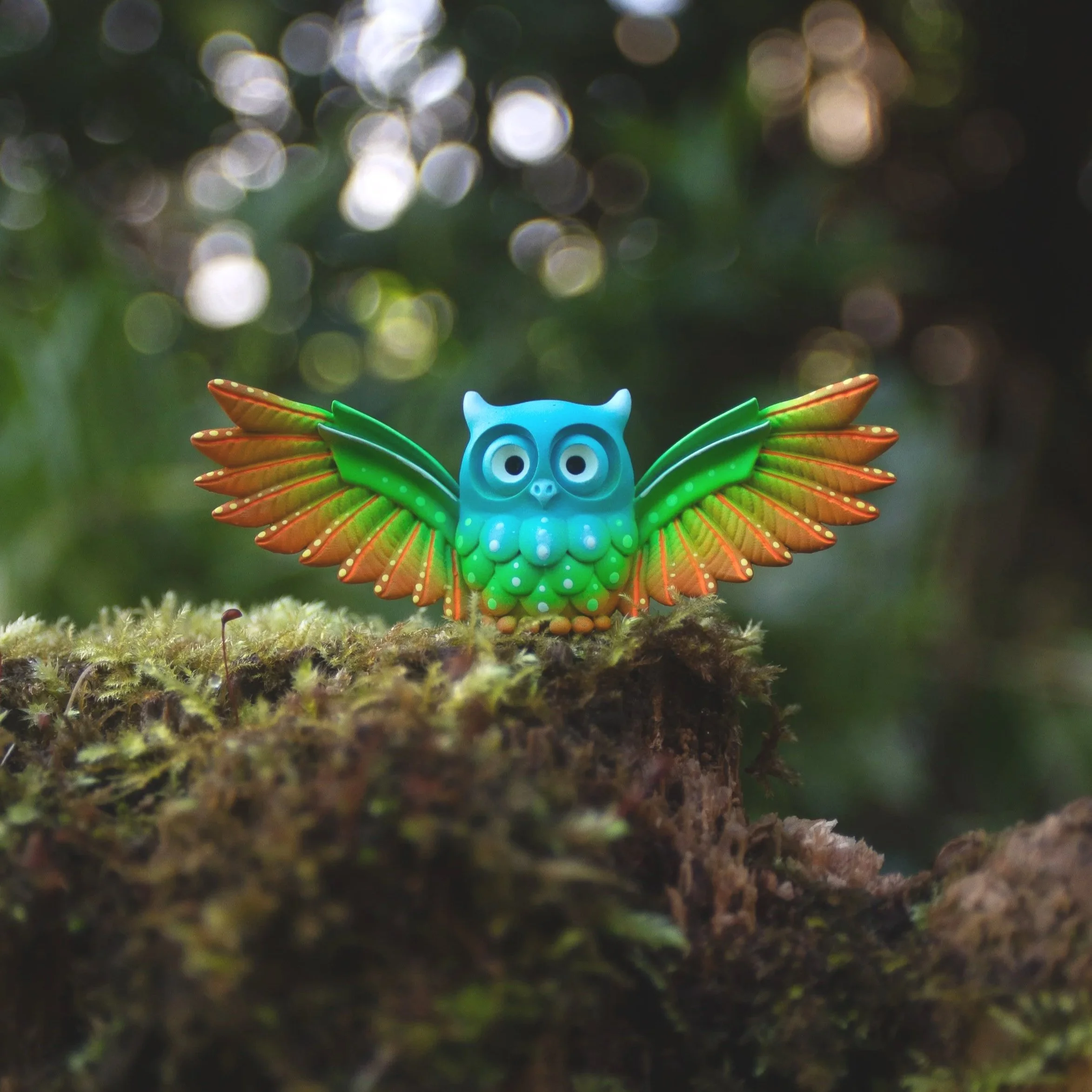 Small Tropical Winged  Owl