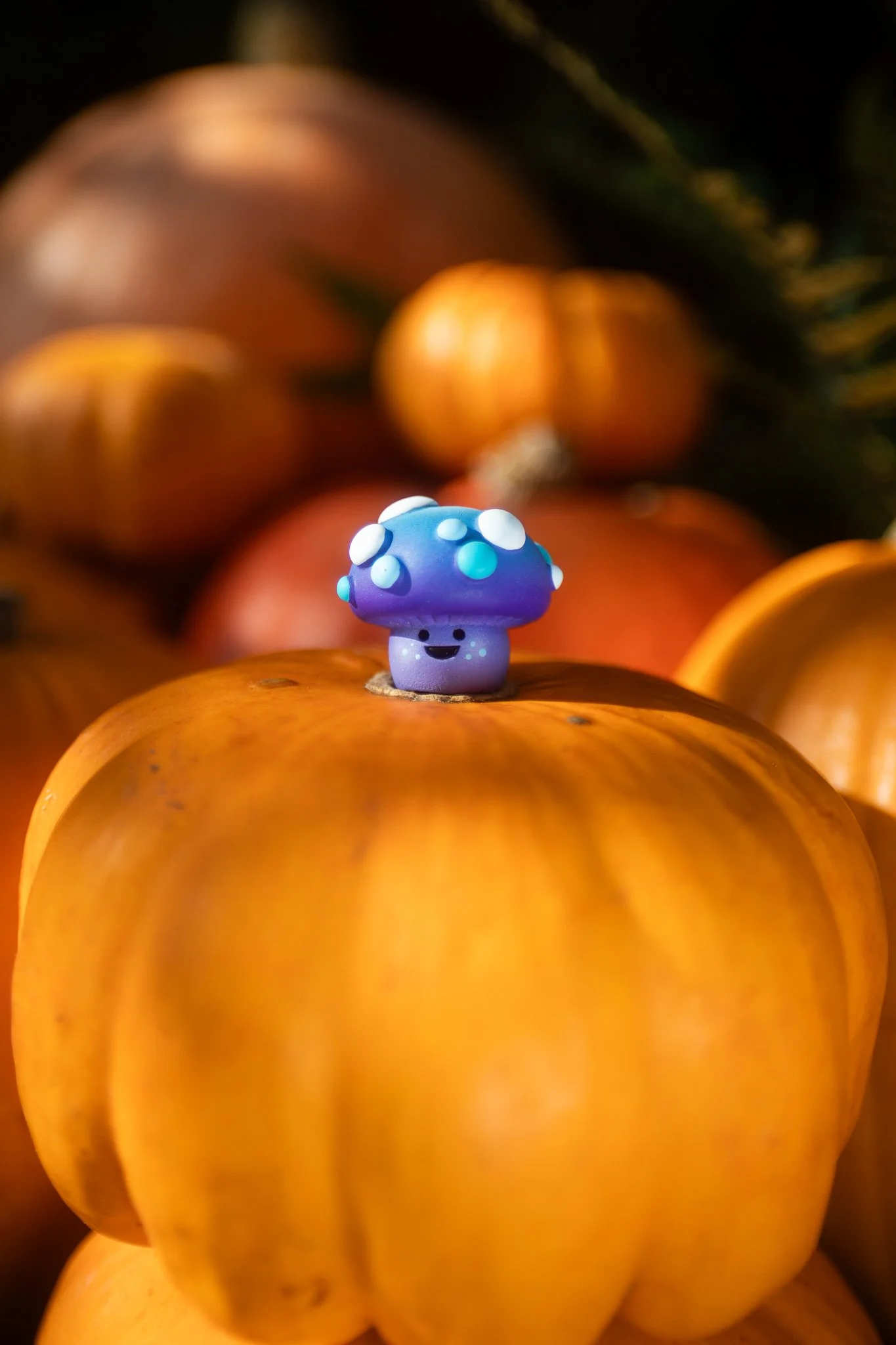 purpshroom.jpg