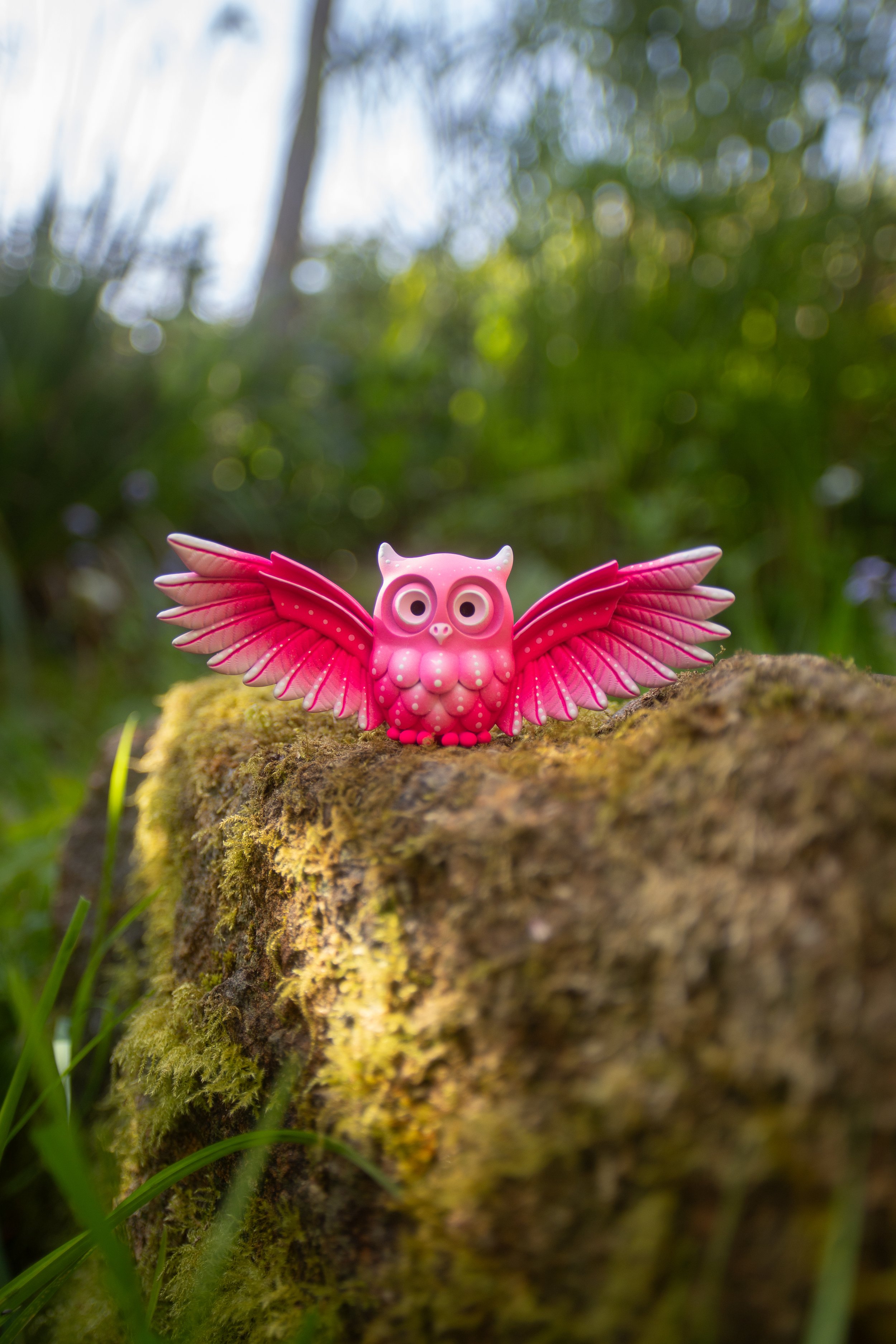 medium OWLS-6.jpg