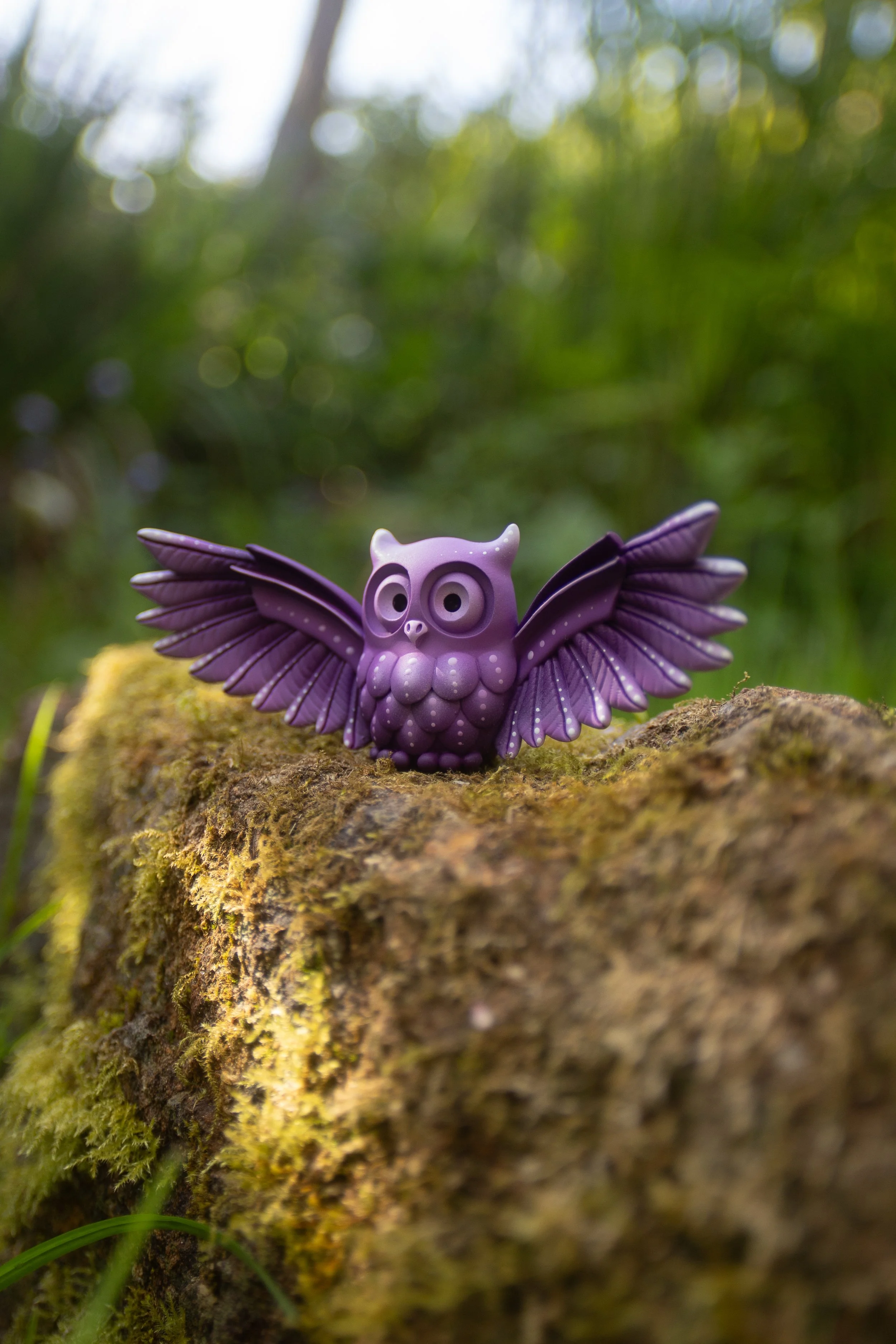 medium OWLS-8.jpg
