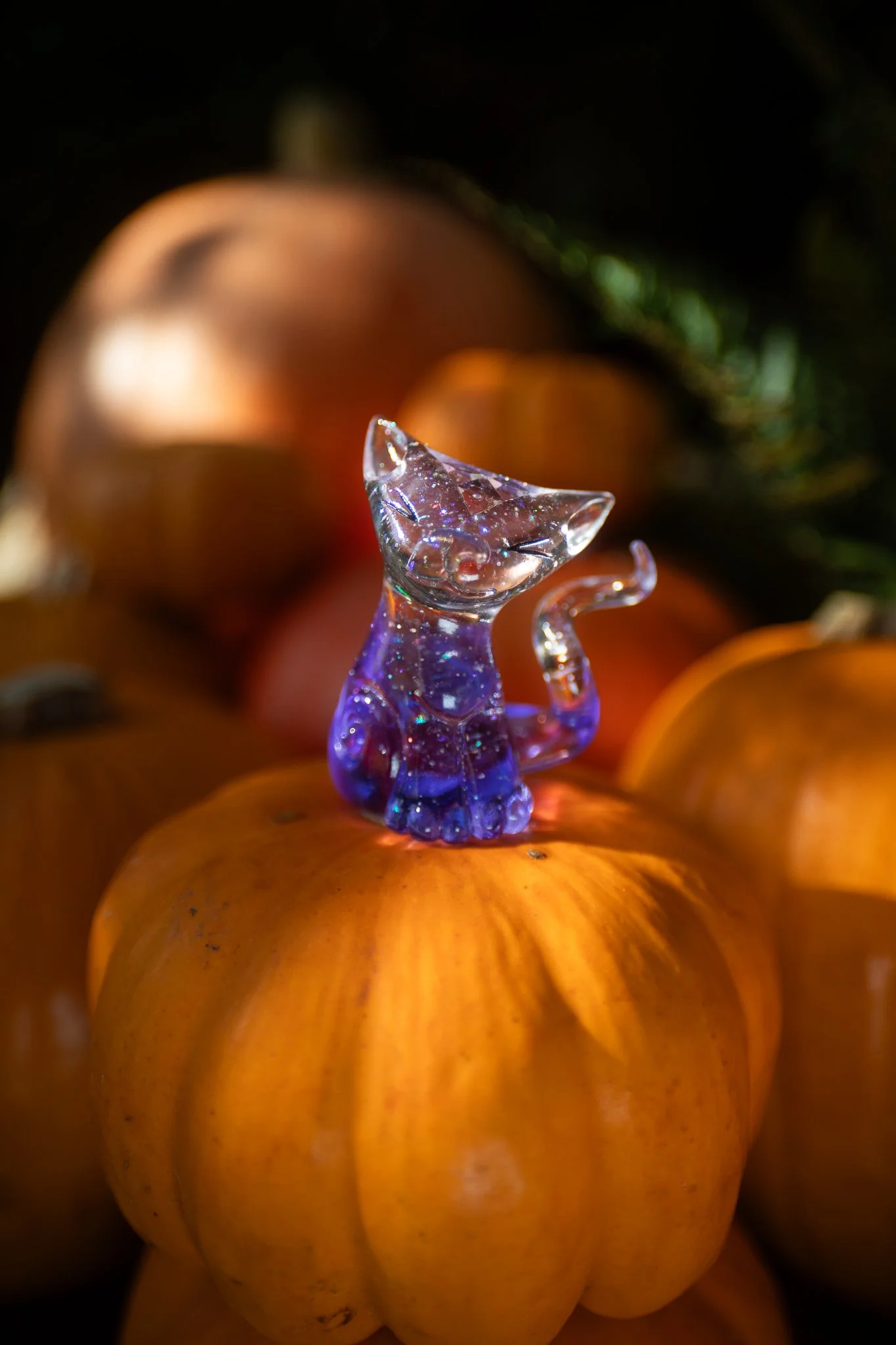 clearPurpCat.jpg