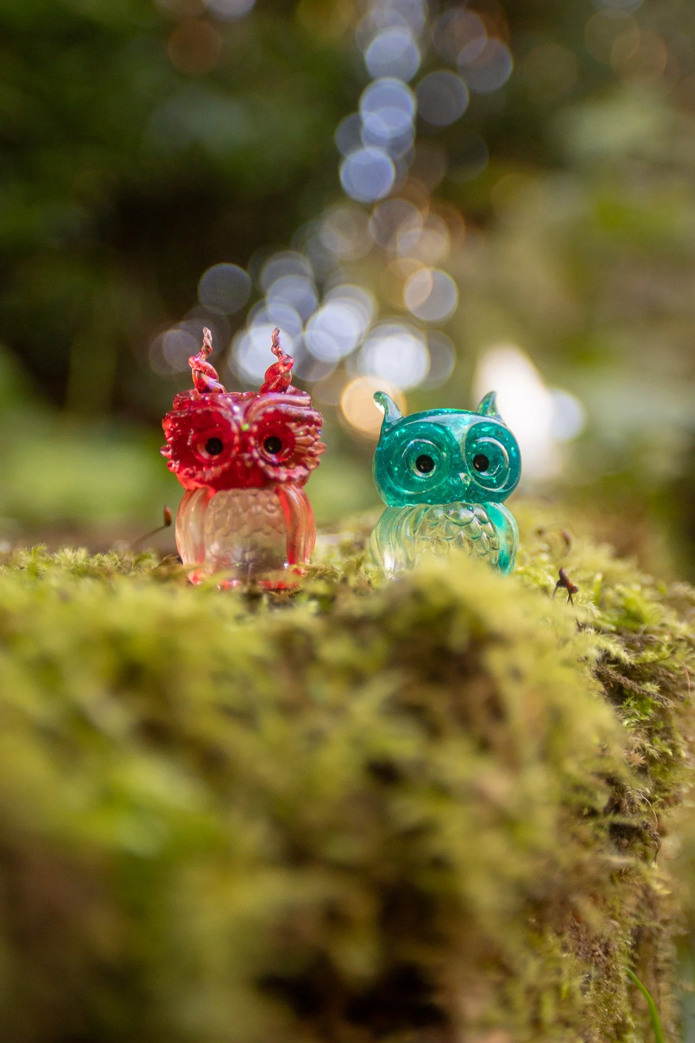 owls-2.jpg