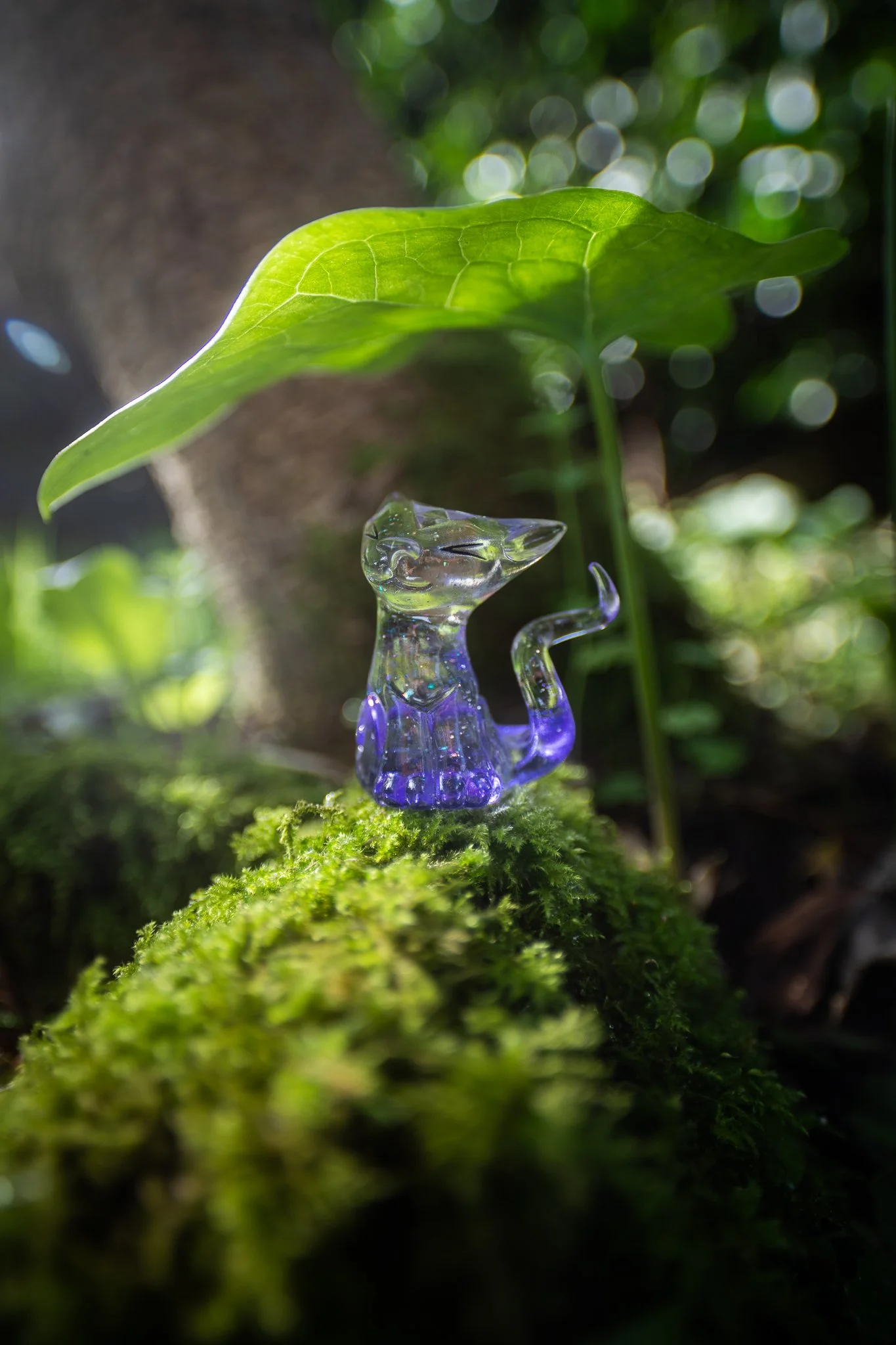clearPurpCat-3.jpg