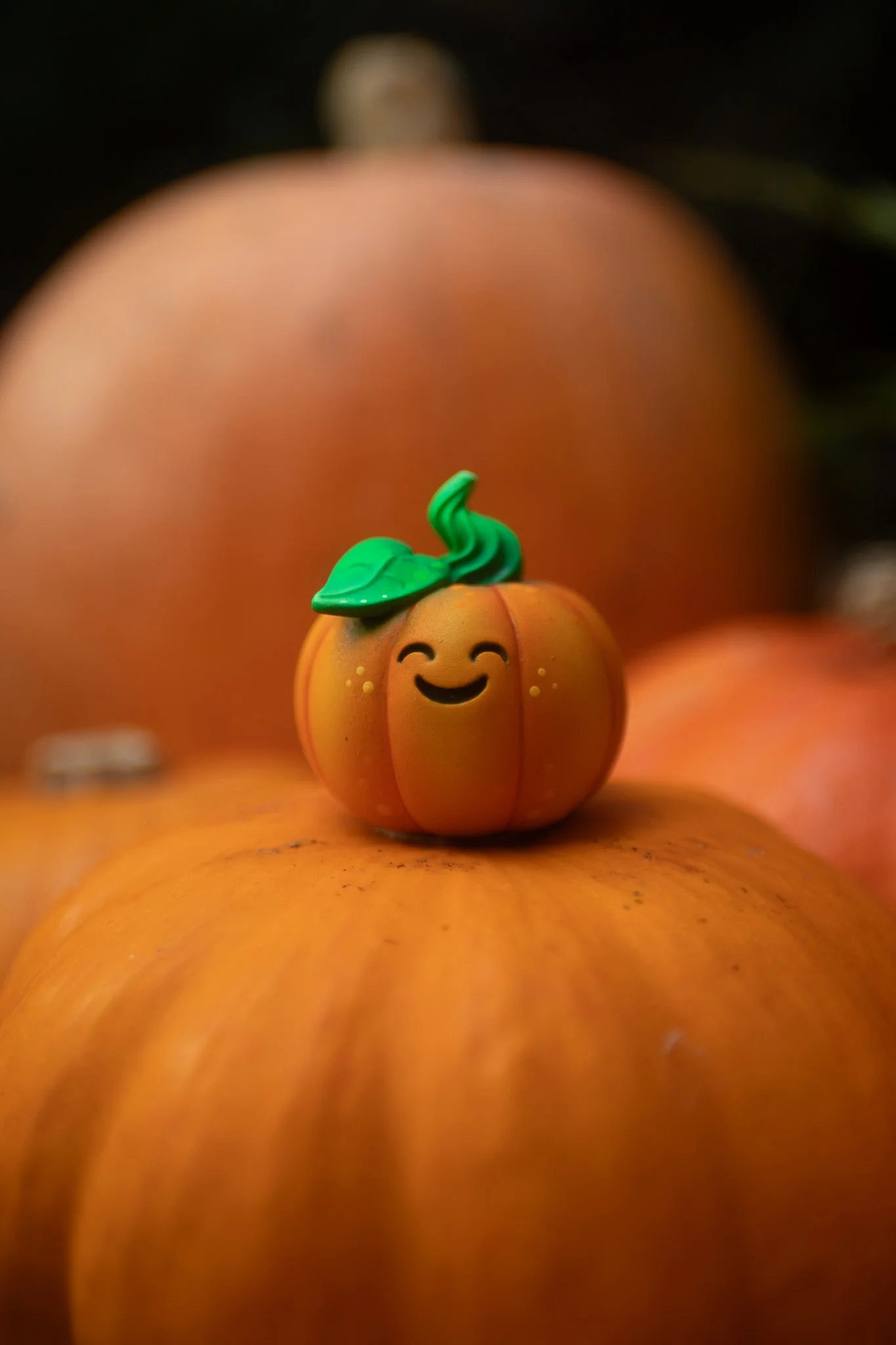 orangepumpkin-6.jpg