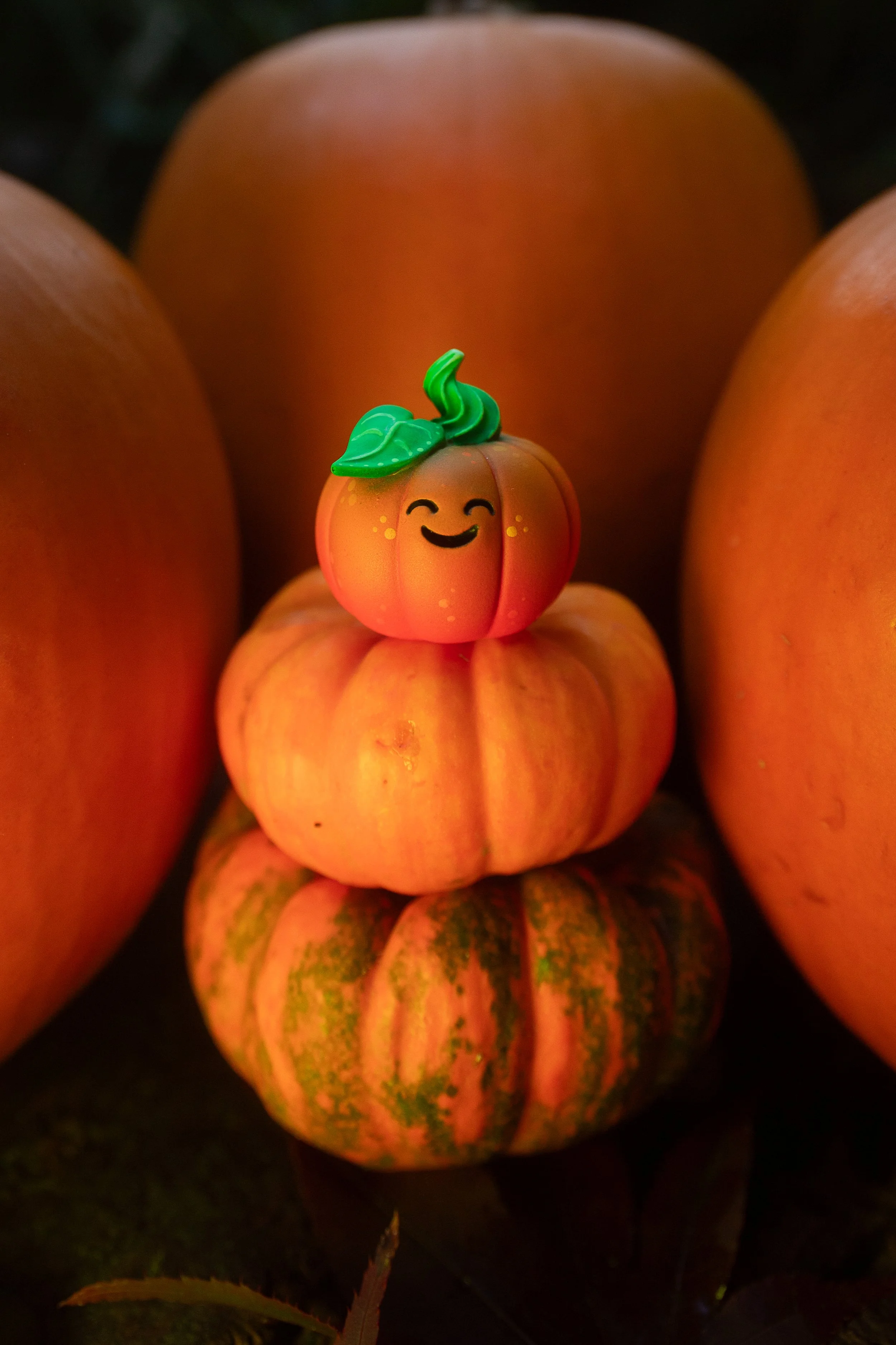 PaintPumpkin-4.jpg