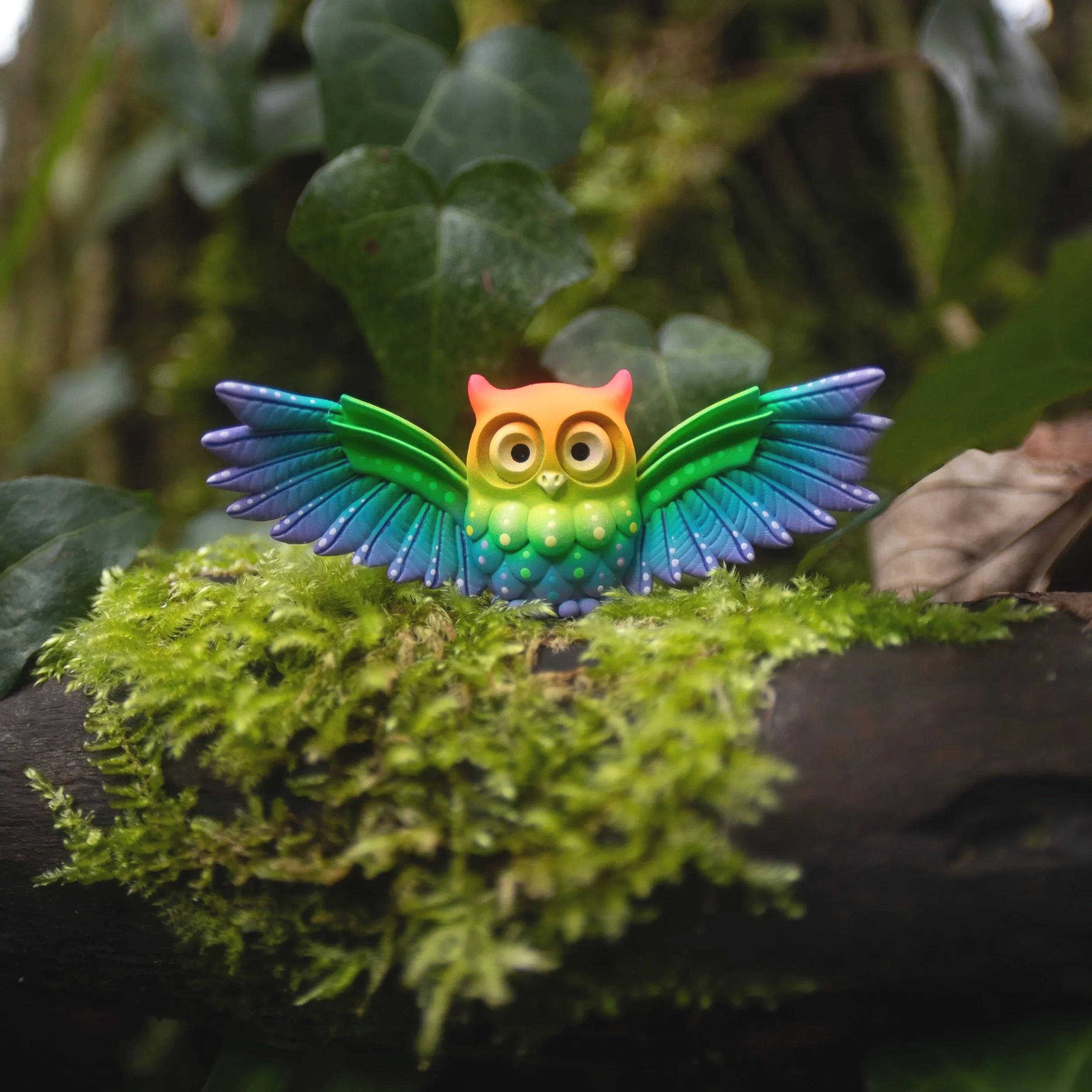 Small Rainbow Winged  Owl