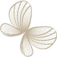 Studio-Starberg_gullh_sommerfugl.png