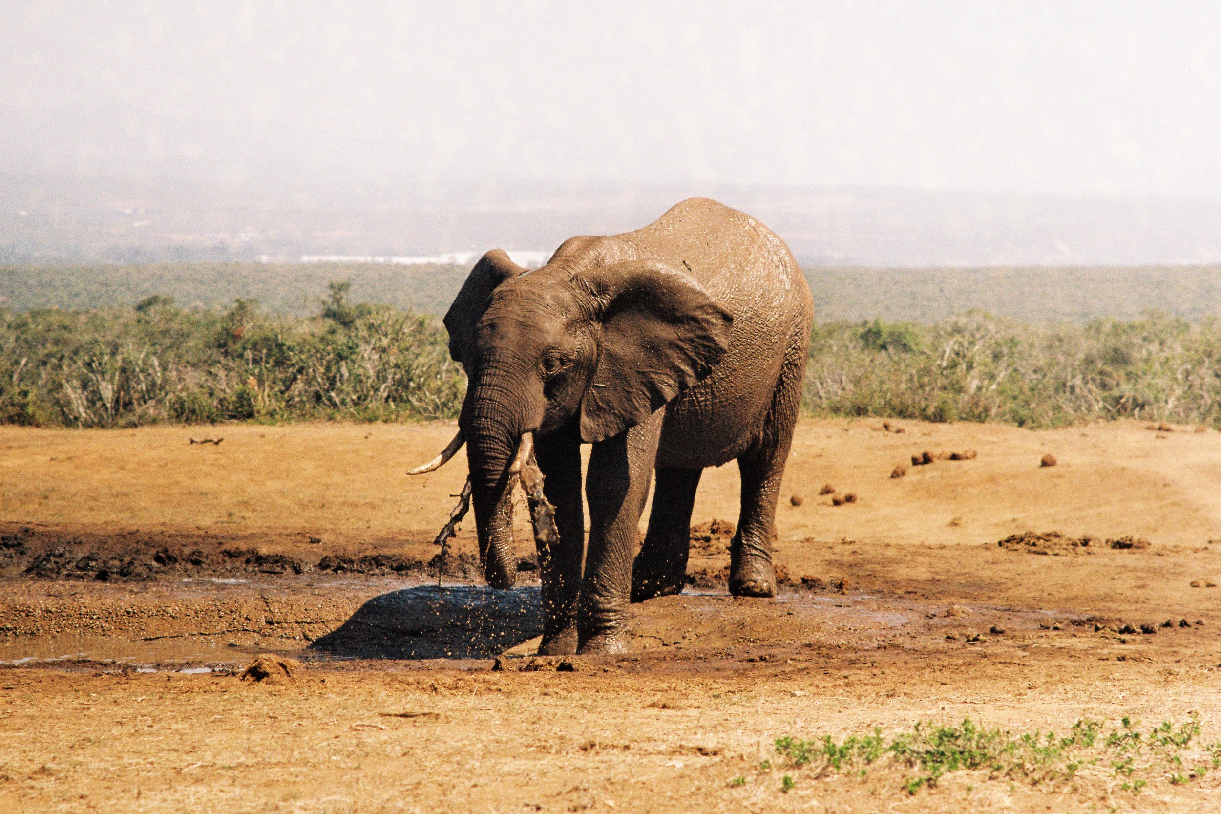 South Africa_0004.JPG