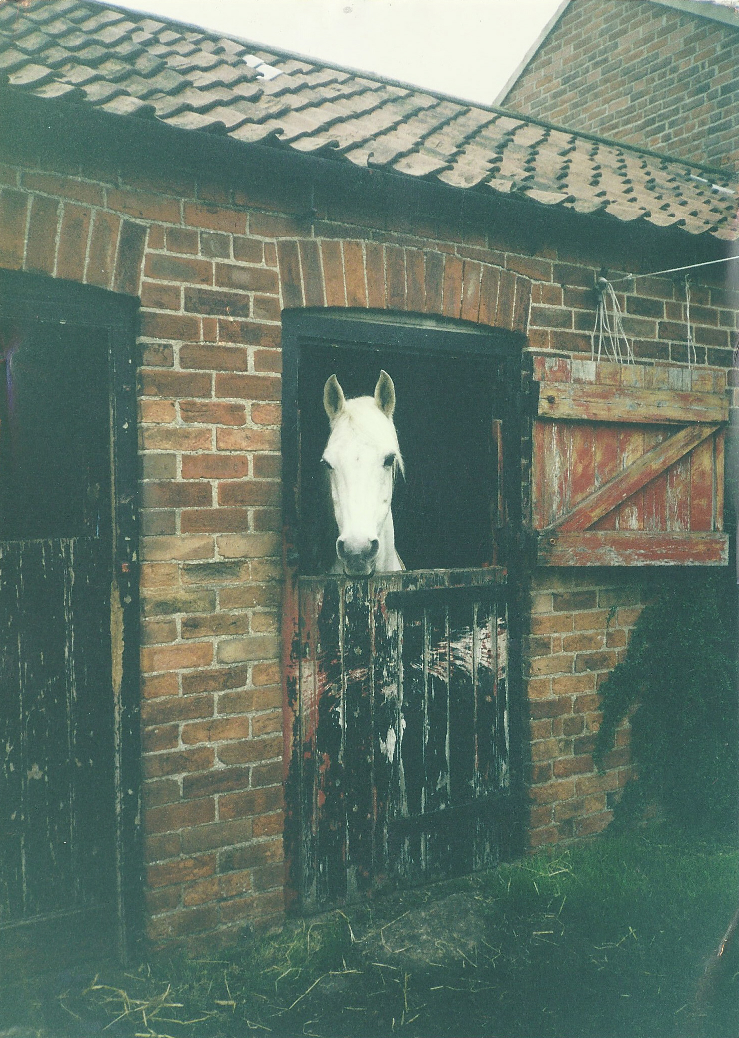 31 BEFORE VILLAGE FARM.jpg