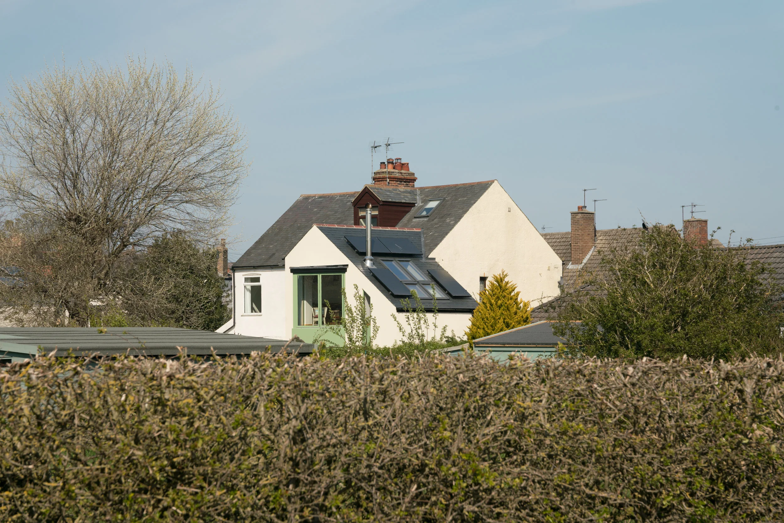 20190420-DSC06998.jpg