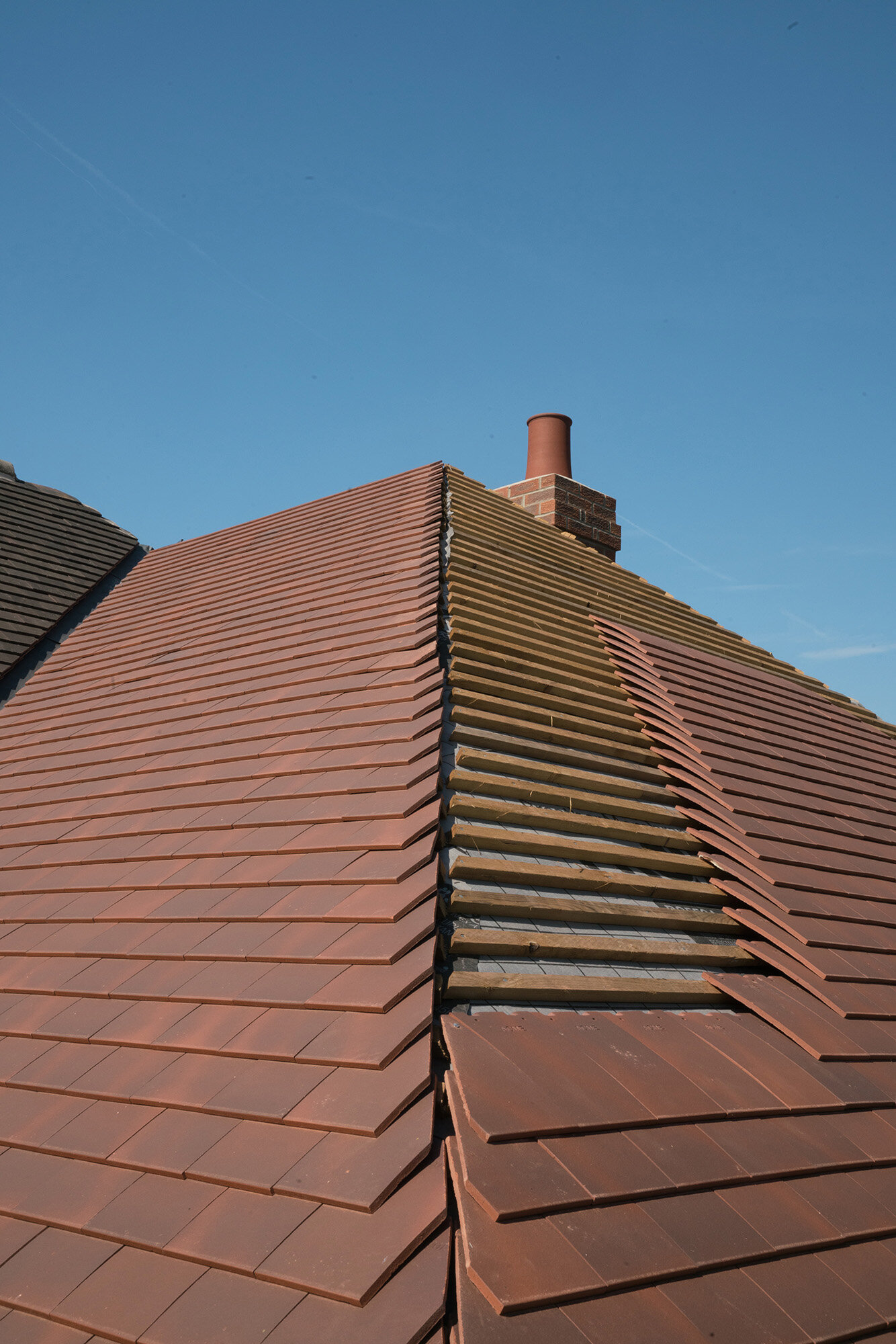 Roof Construction 3 - Rosemary House - Driffield Architects - Samuel Kendall Associates