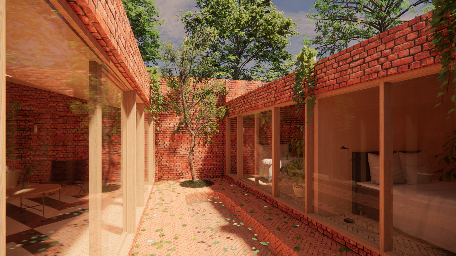 Courtyard Tree - Solar Courtyard House - Beverley Architects - Samuel Kendall Associates