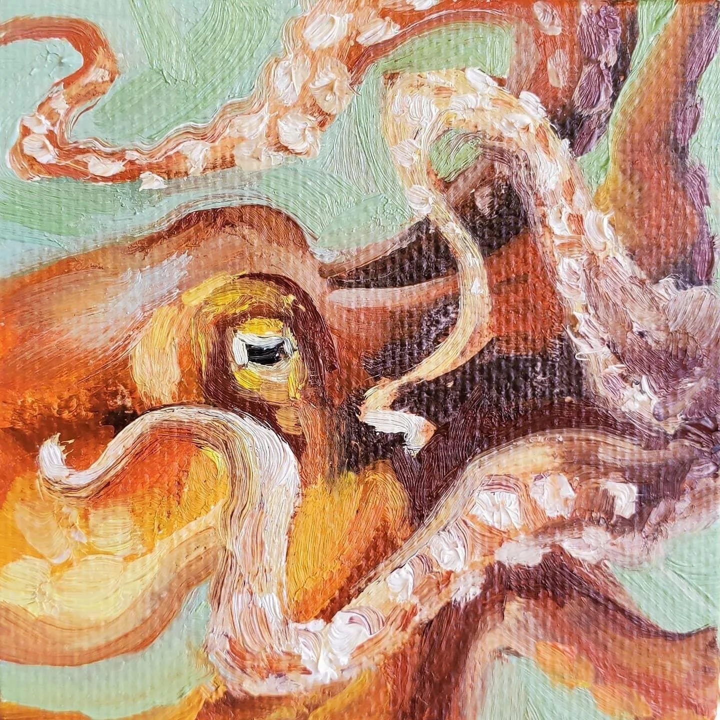 Smol Orange Octopus
