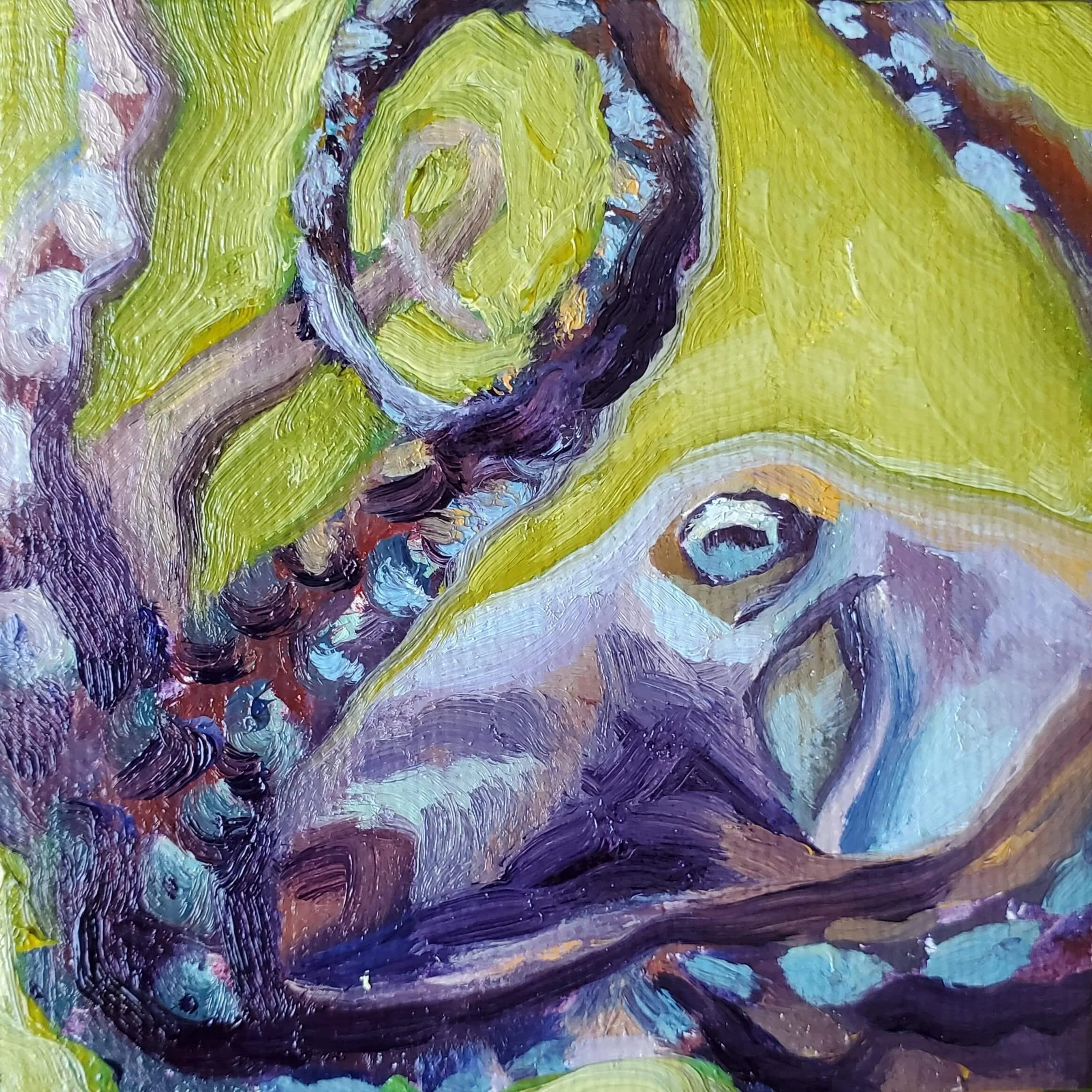 Smol Purple Octopus