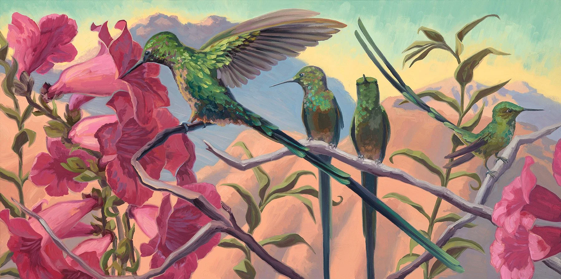 Alyssa #2 2-2-25 (large) copy.JPEG