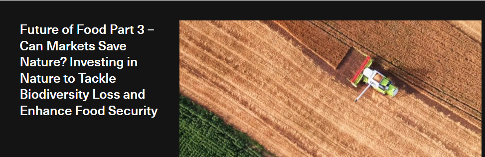 Can Markets Save Nature?